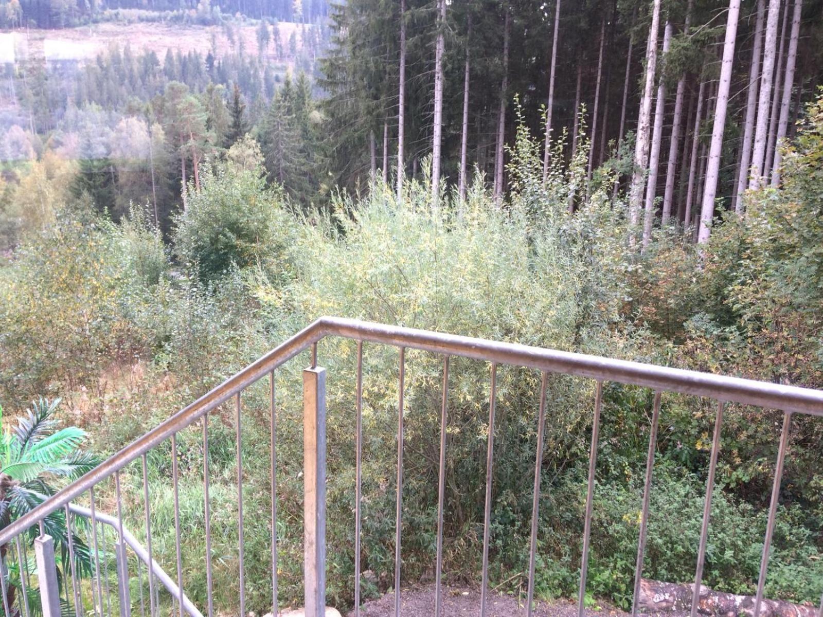 Photo 33