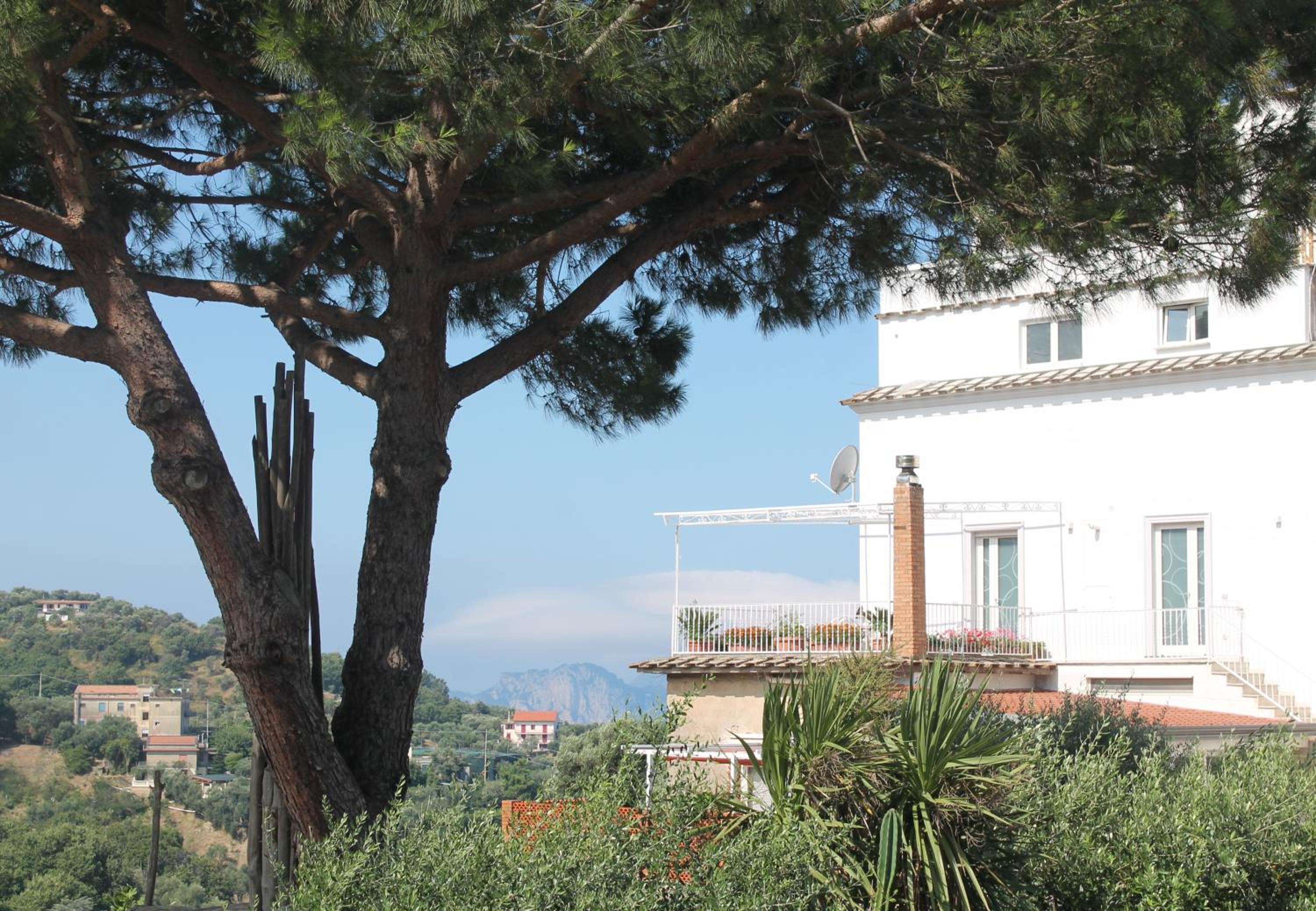 Sunset House photo 4