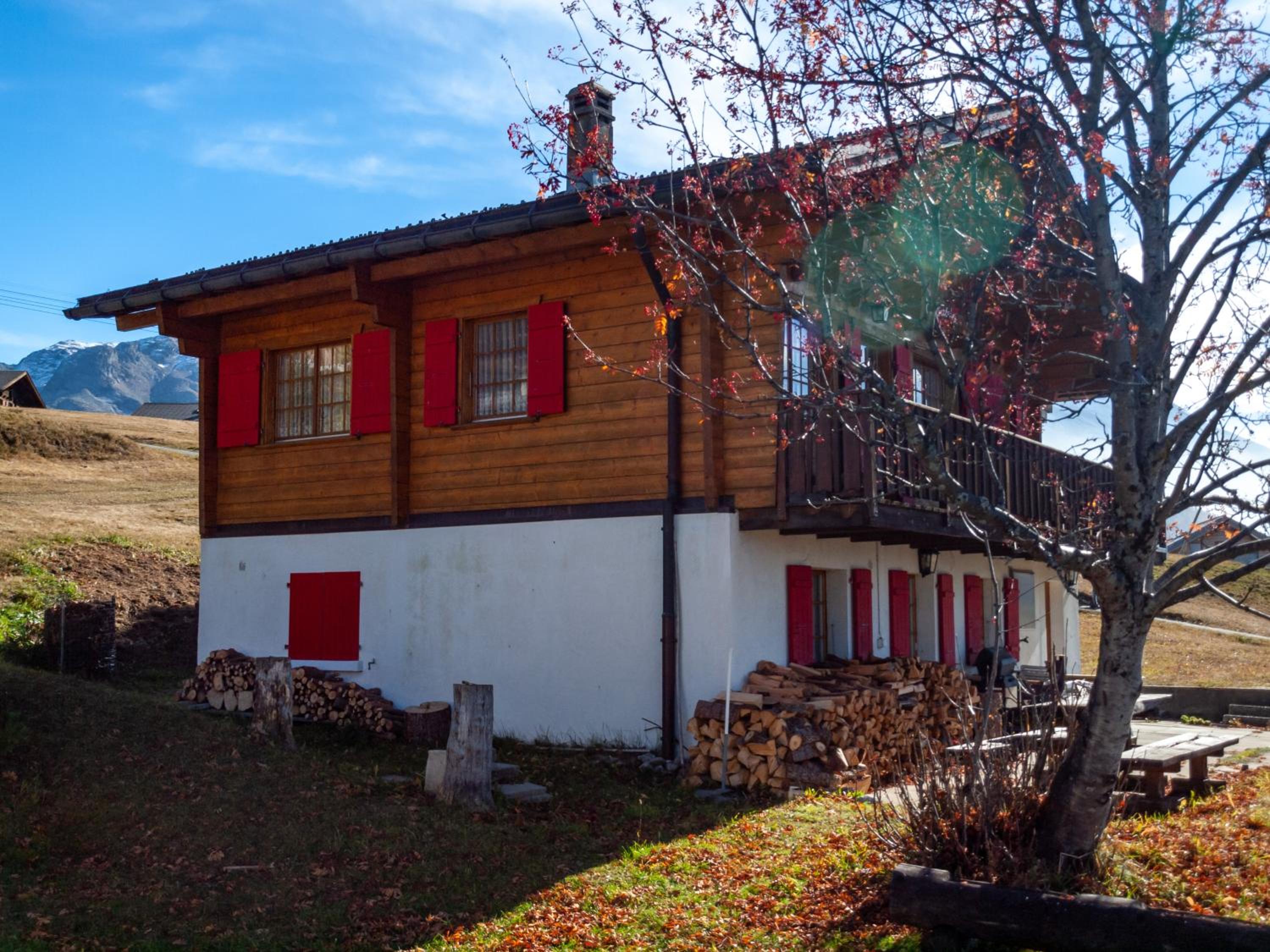 Photo 15