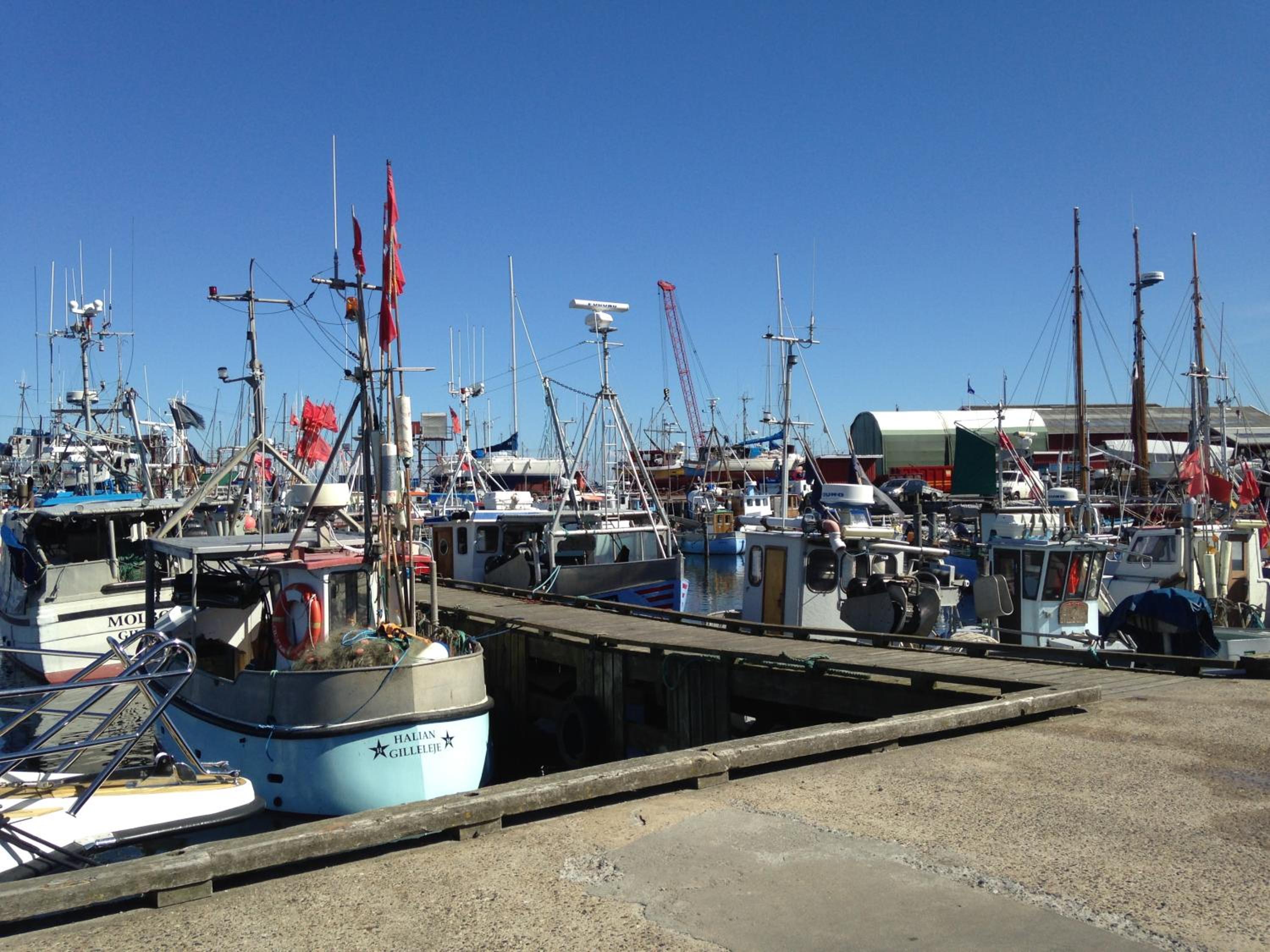 Cozy Guesthouse