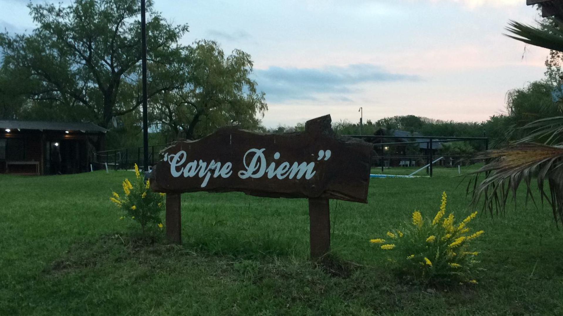 Carpe Diem