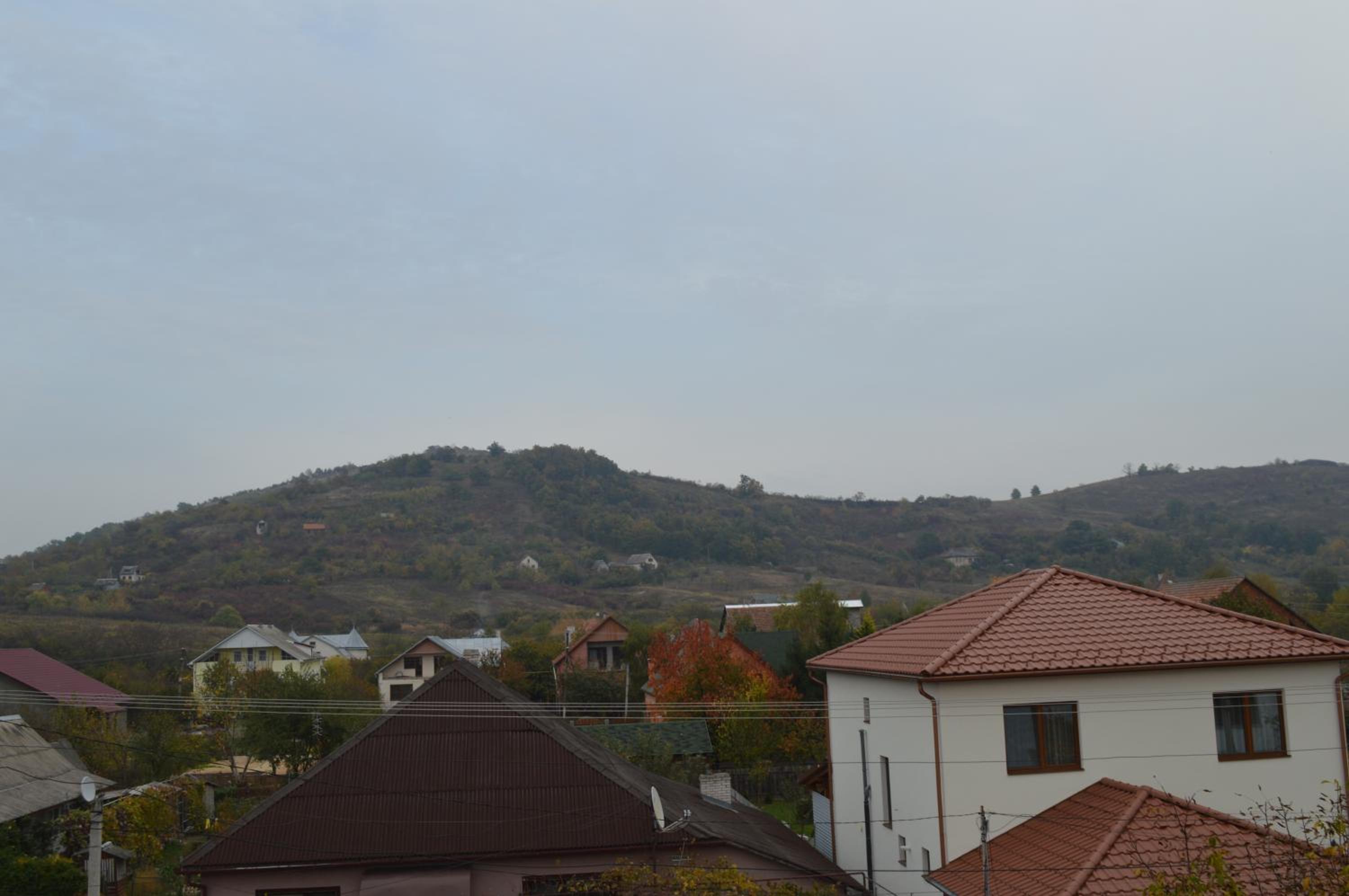 Photo 53