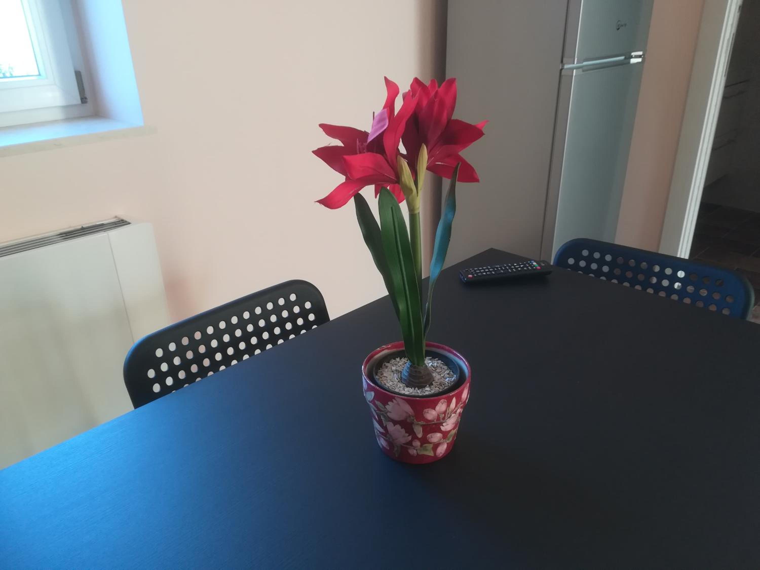 Photo 48