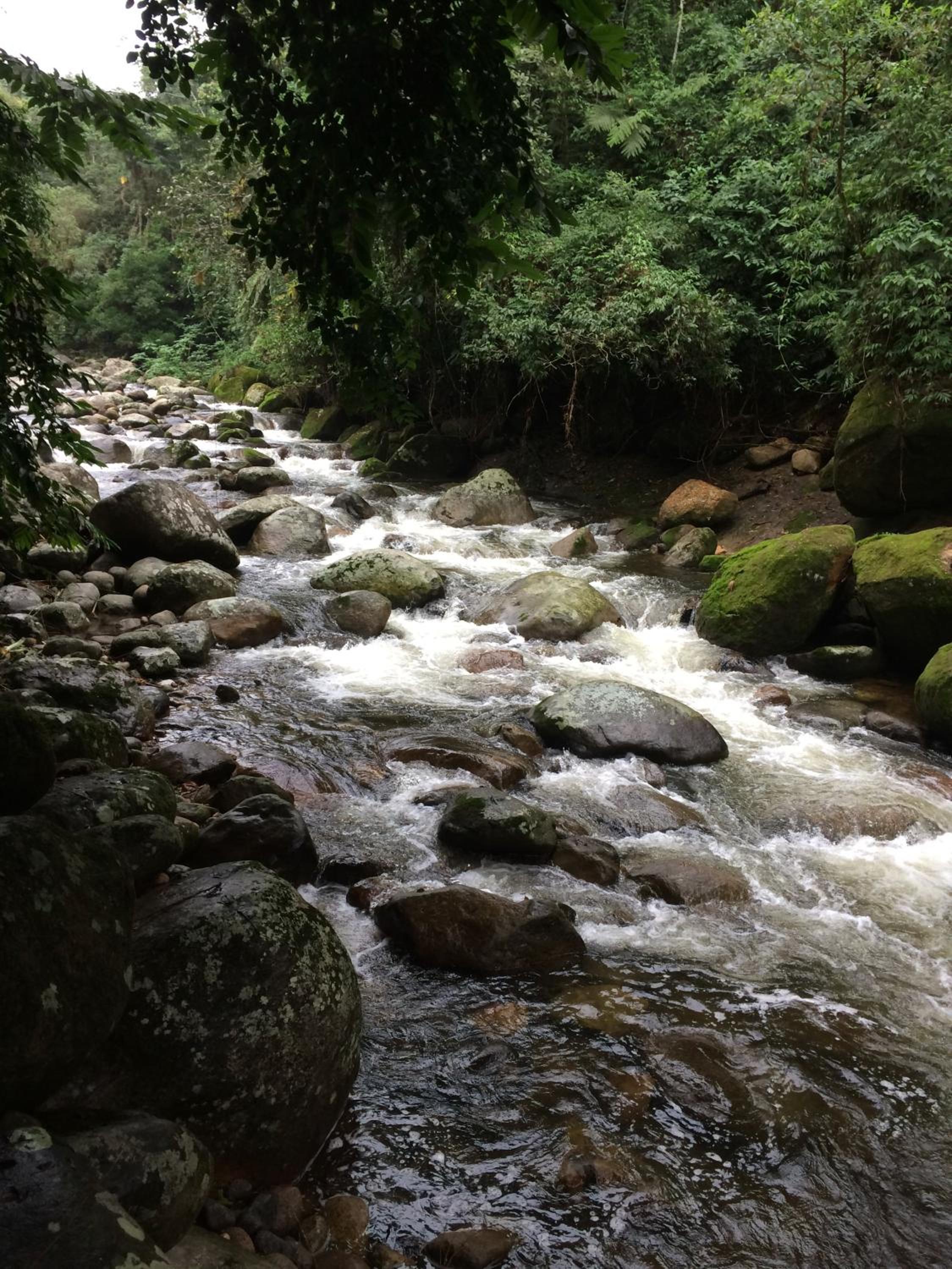 Eco Chalés Caminho das Águas