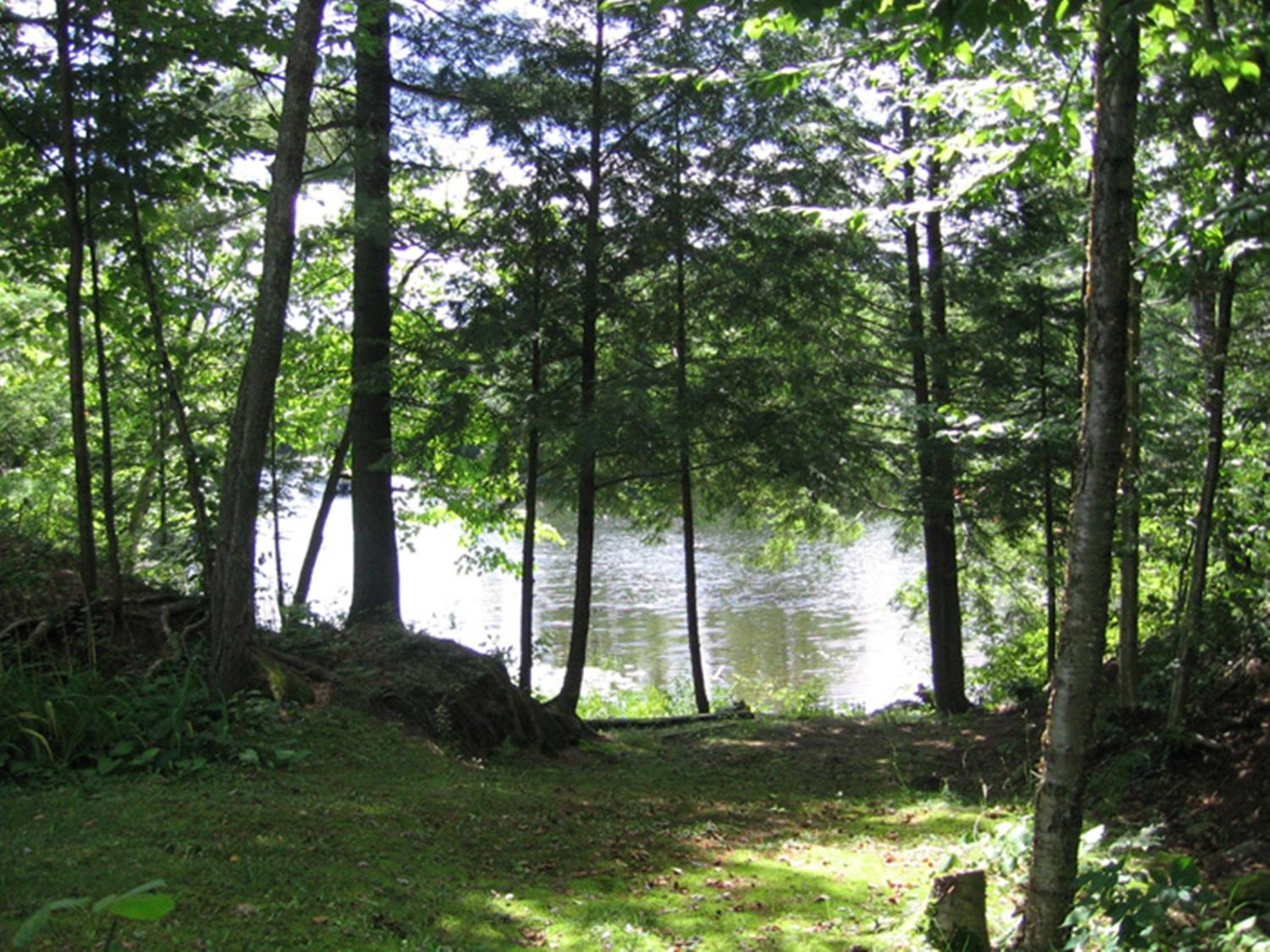 Chalet au bord de l'eau Le Nymphéa