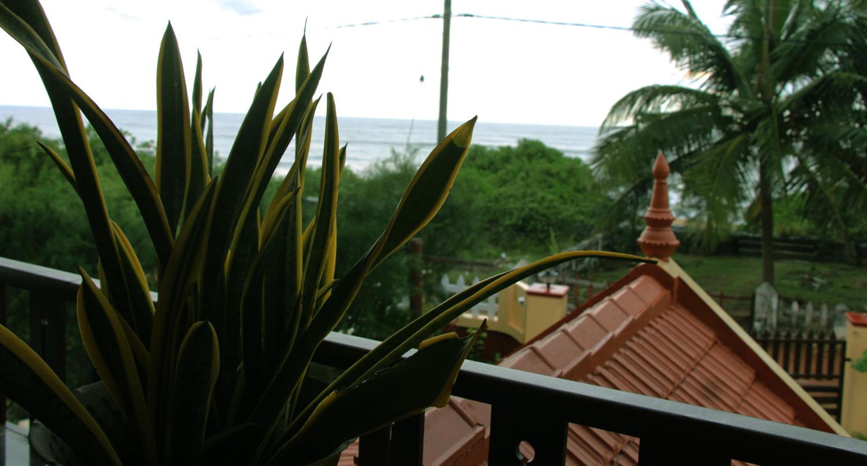 Kannur Beach view Homestay view 5