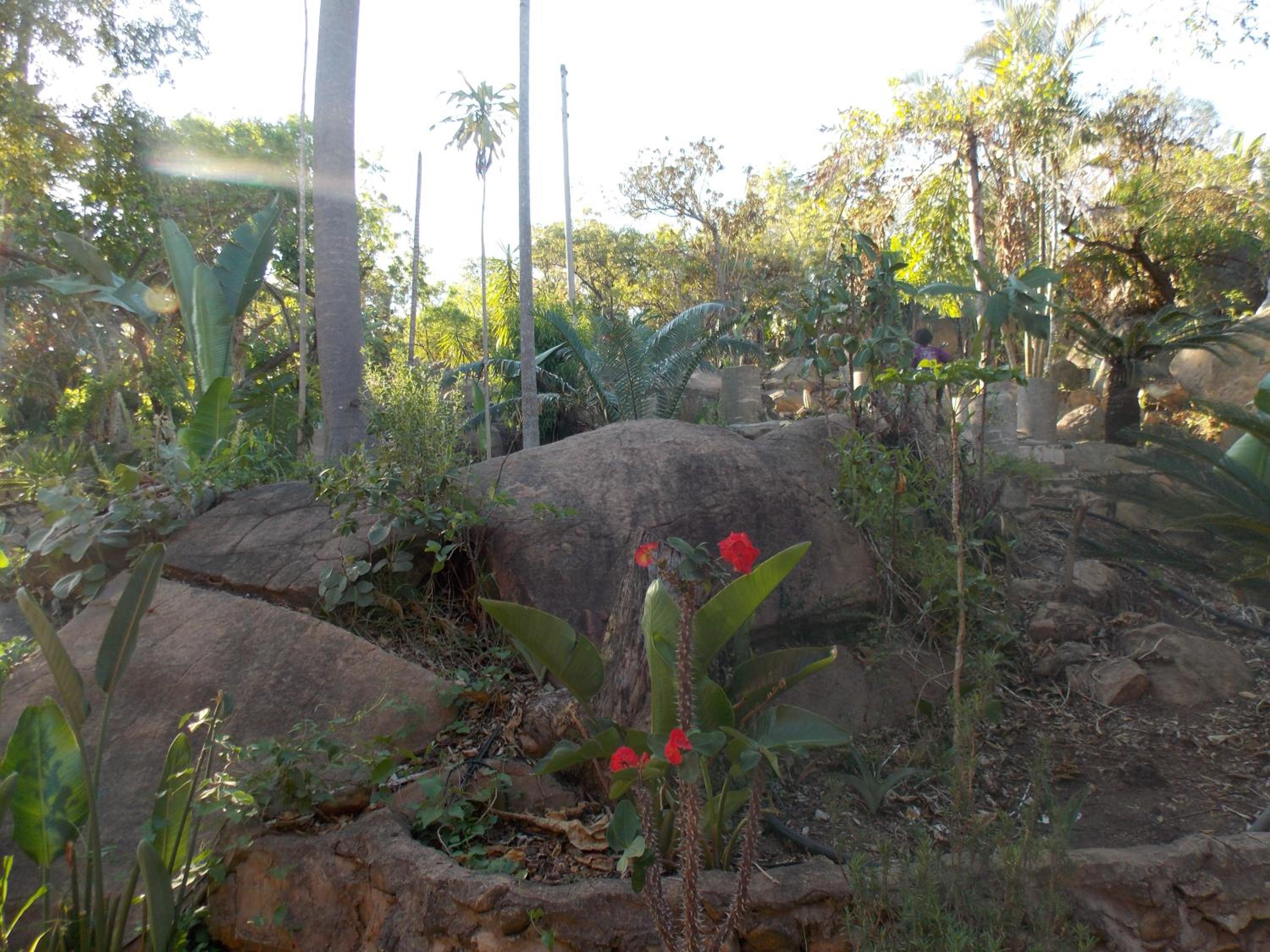 Photo 28