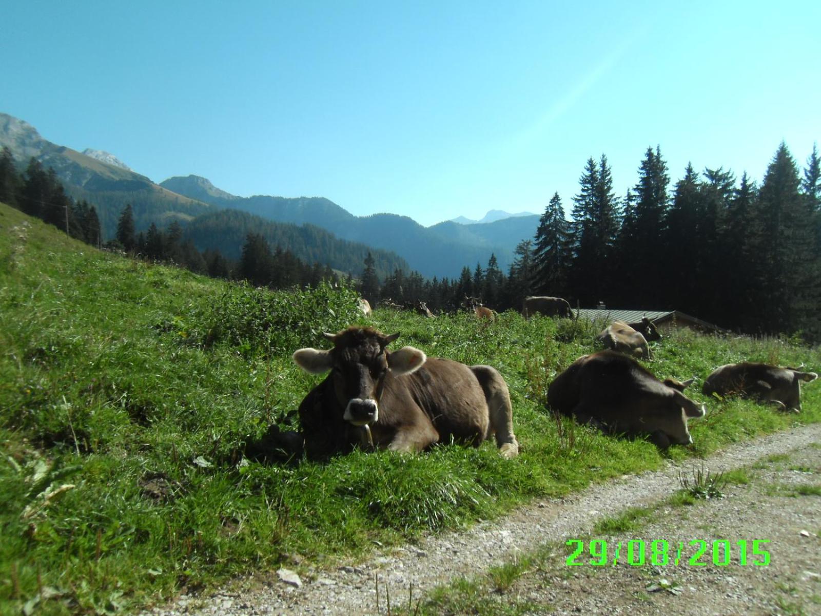 Ferienwohnung YogaHaus Berchtesgaden