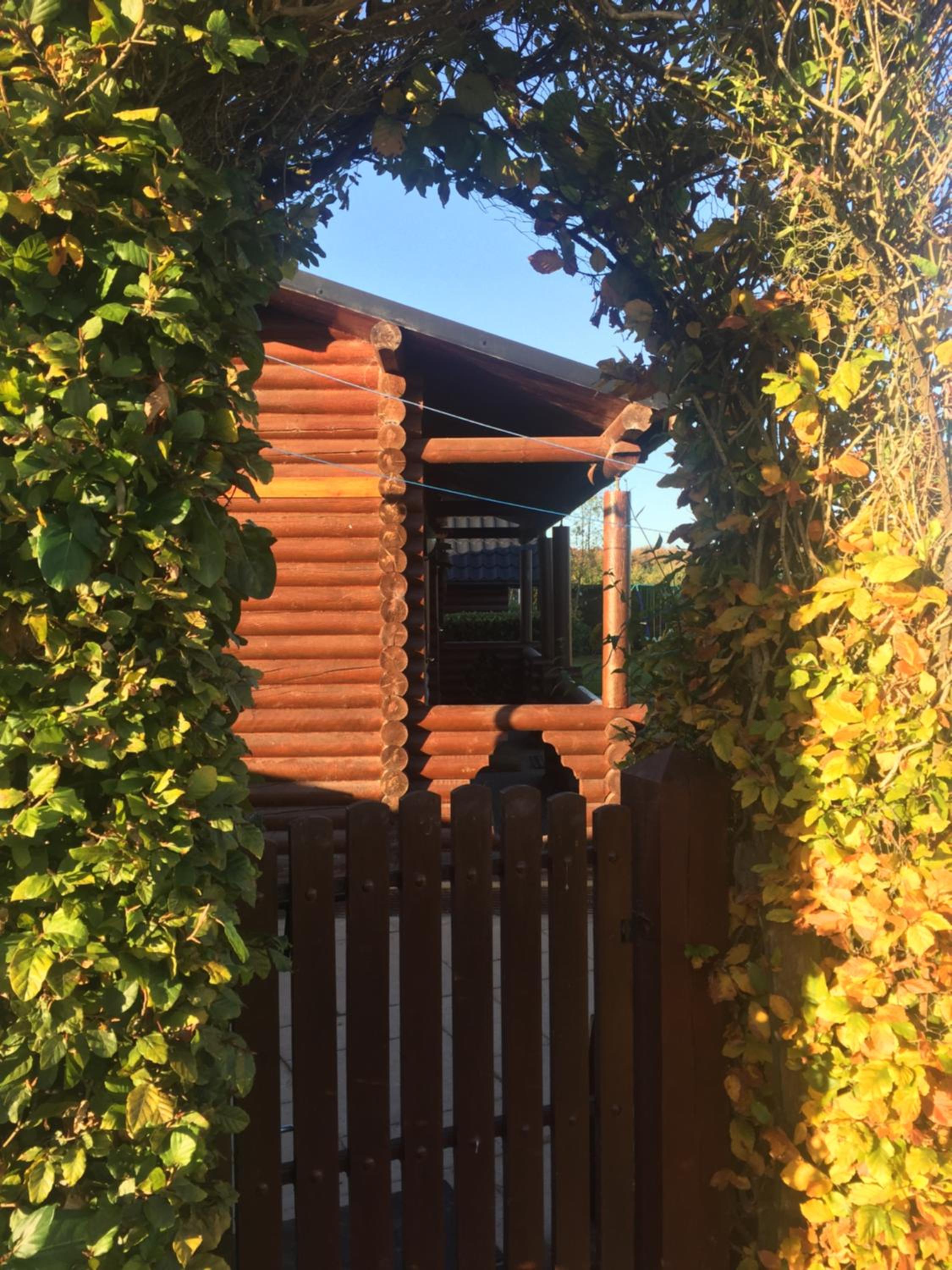 Photo 17