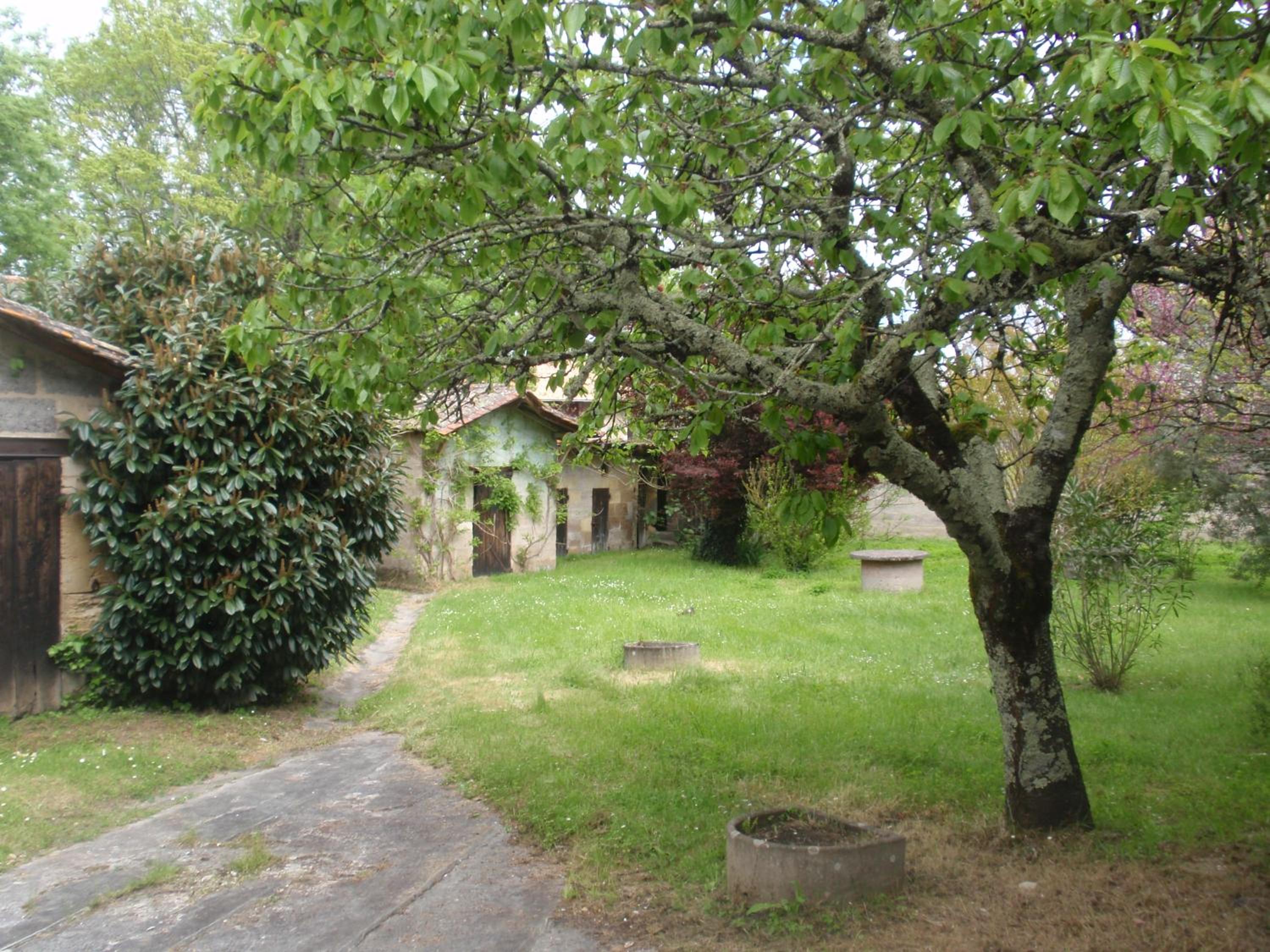 La Maison d'Alienor view 5