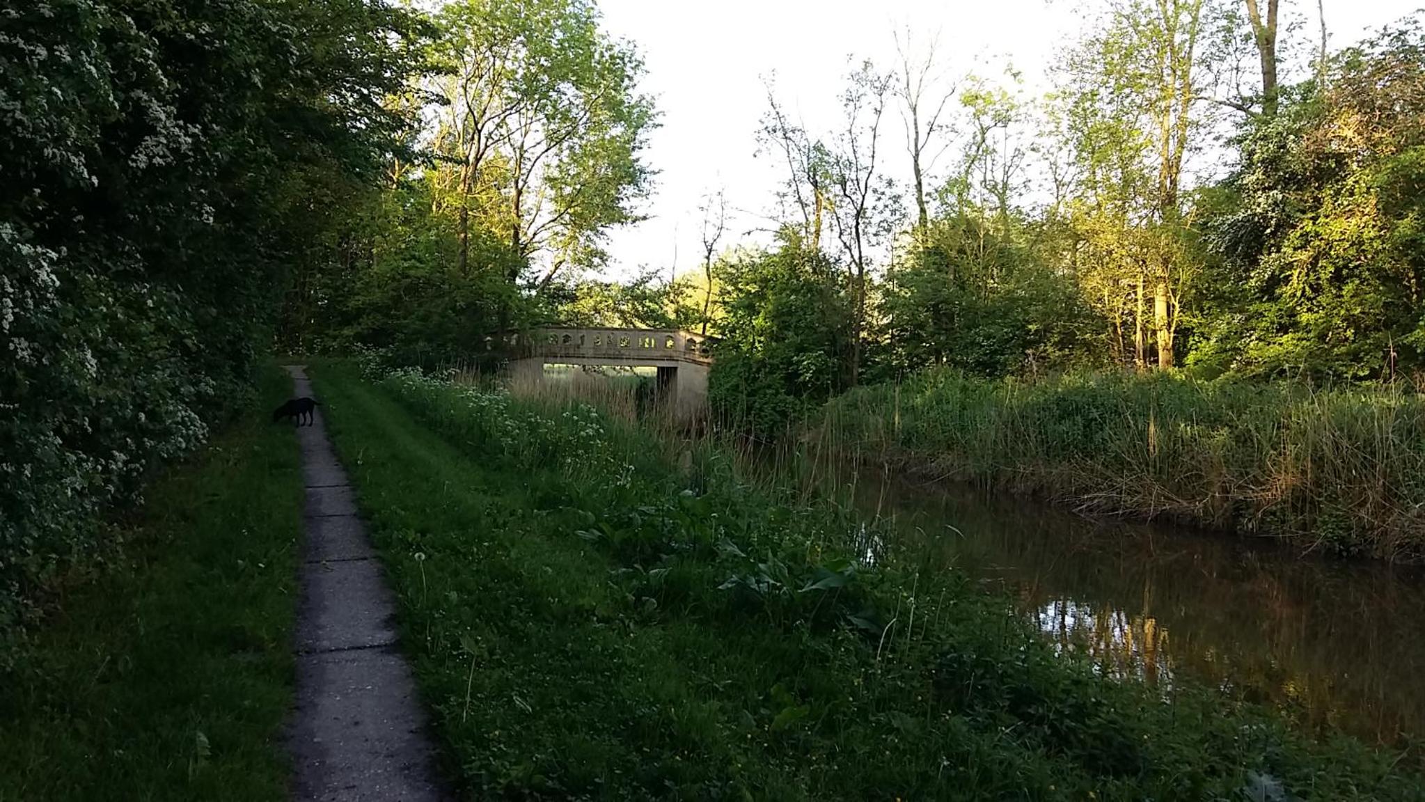 Photo 35