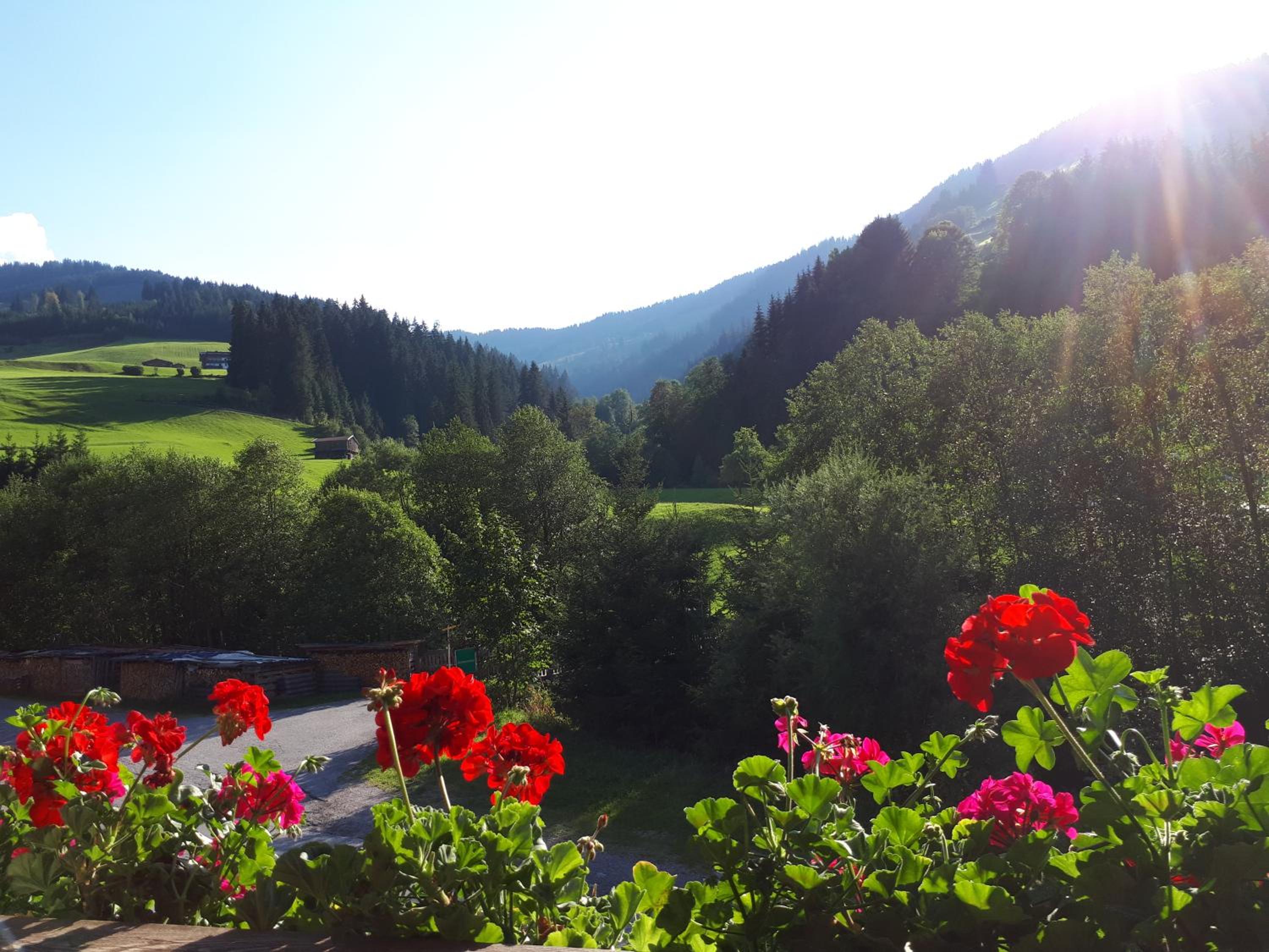 Hinterschwarzenau