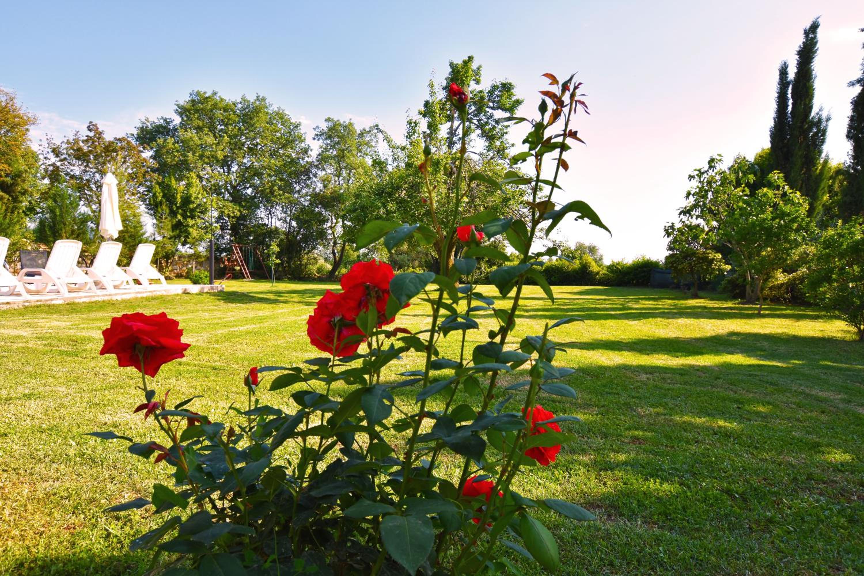 Villa Micheline view 5