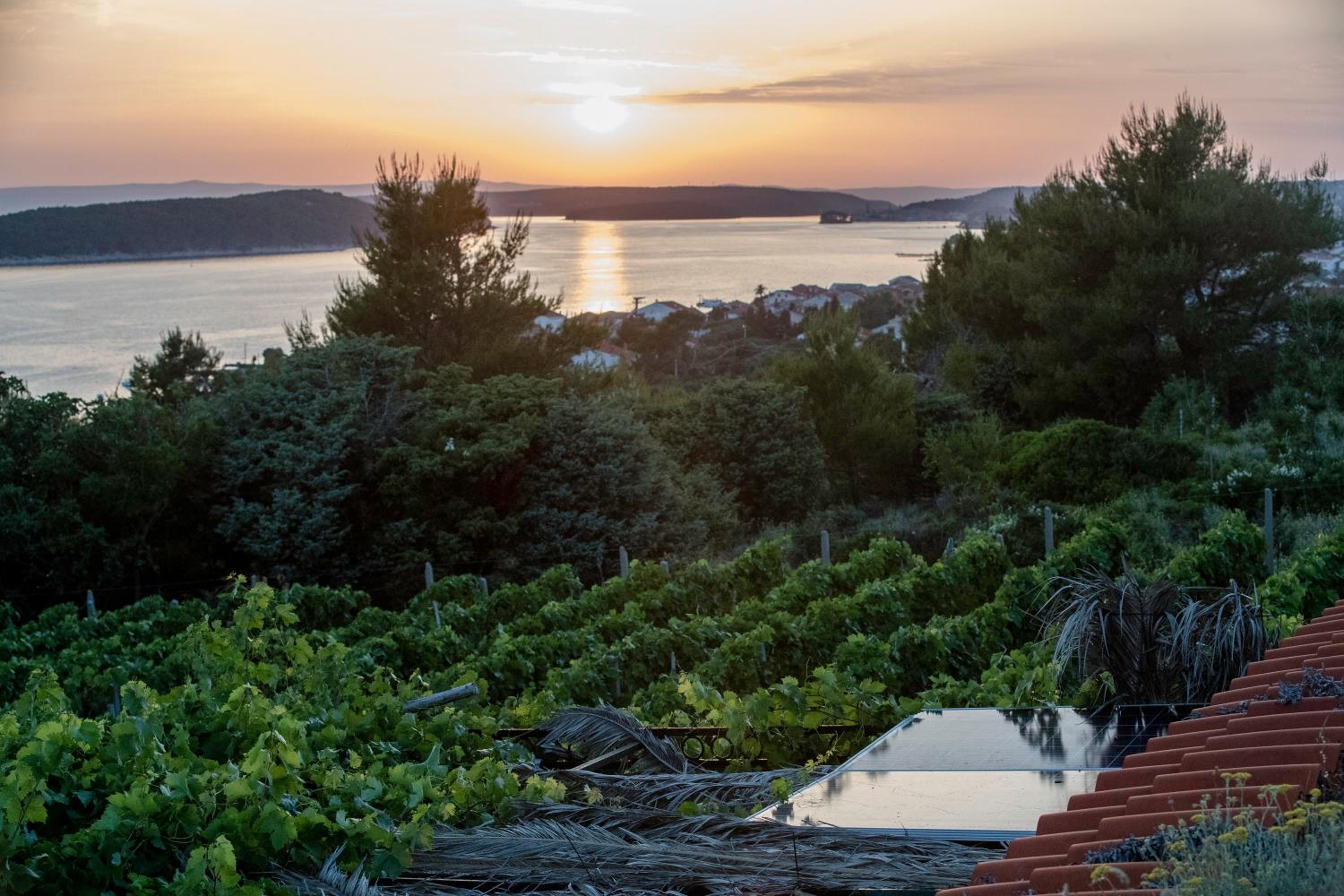 Private Vineyard House en Banjol