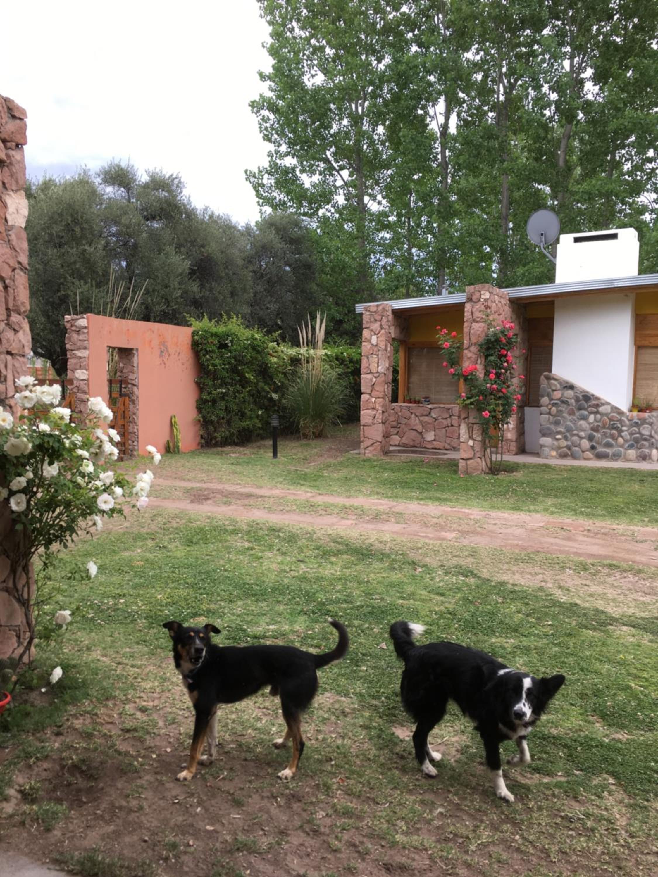 La Viñuela