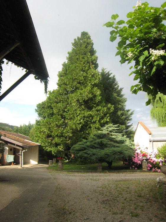 Villa Dufresne, photo 23