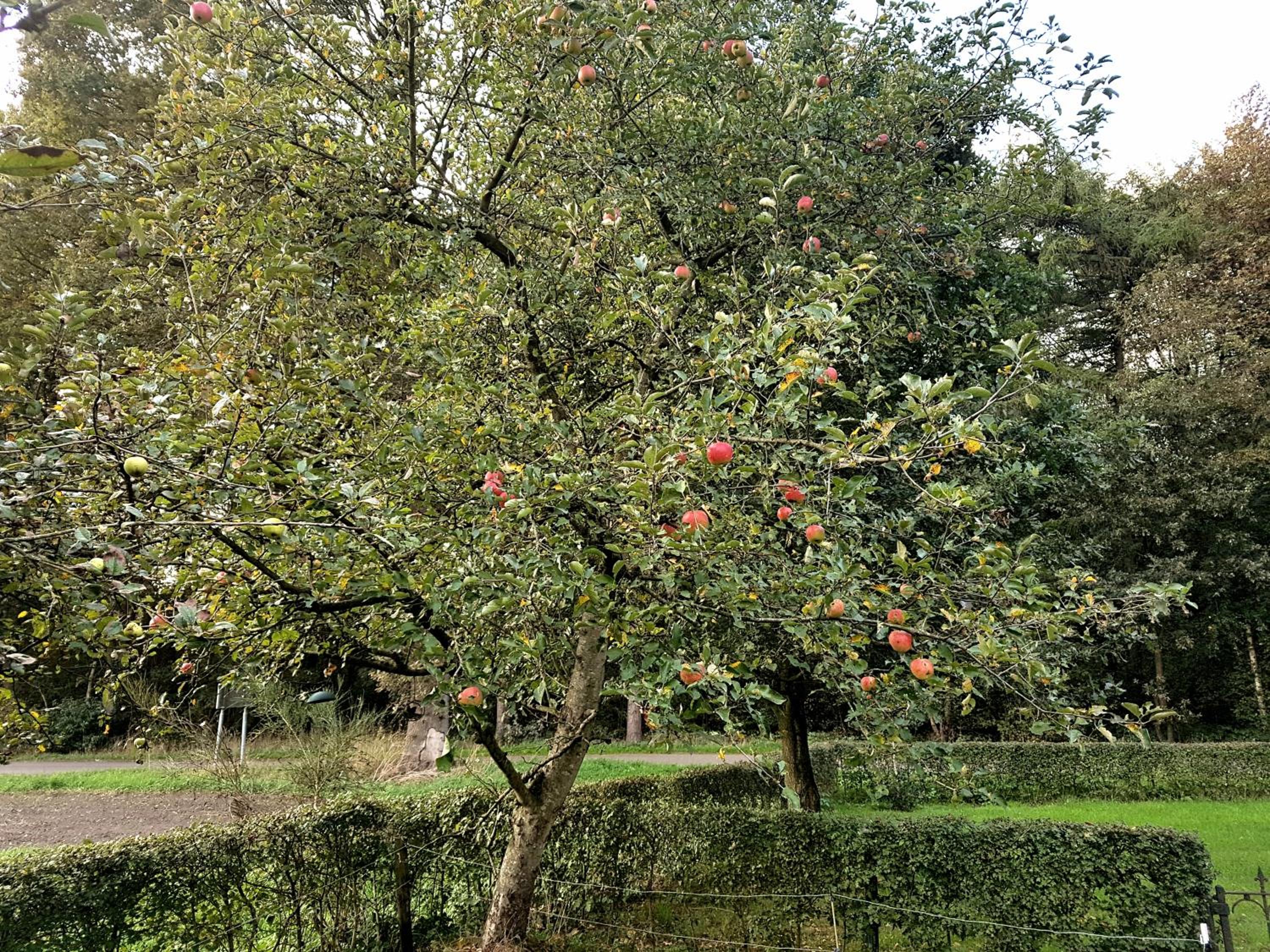 B&B de Panheide