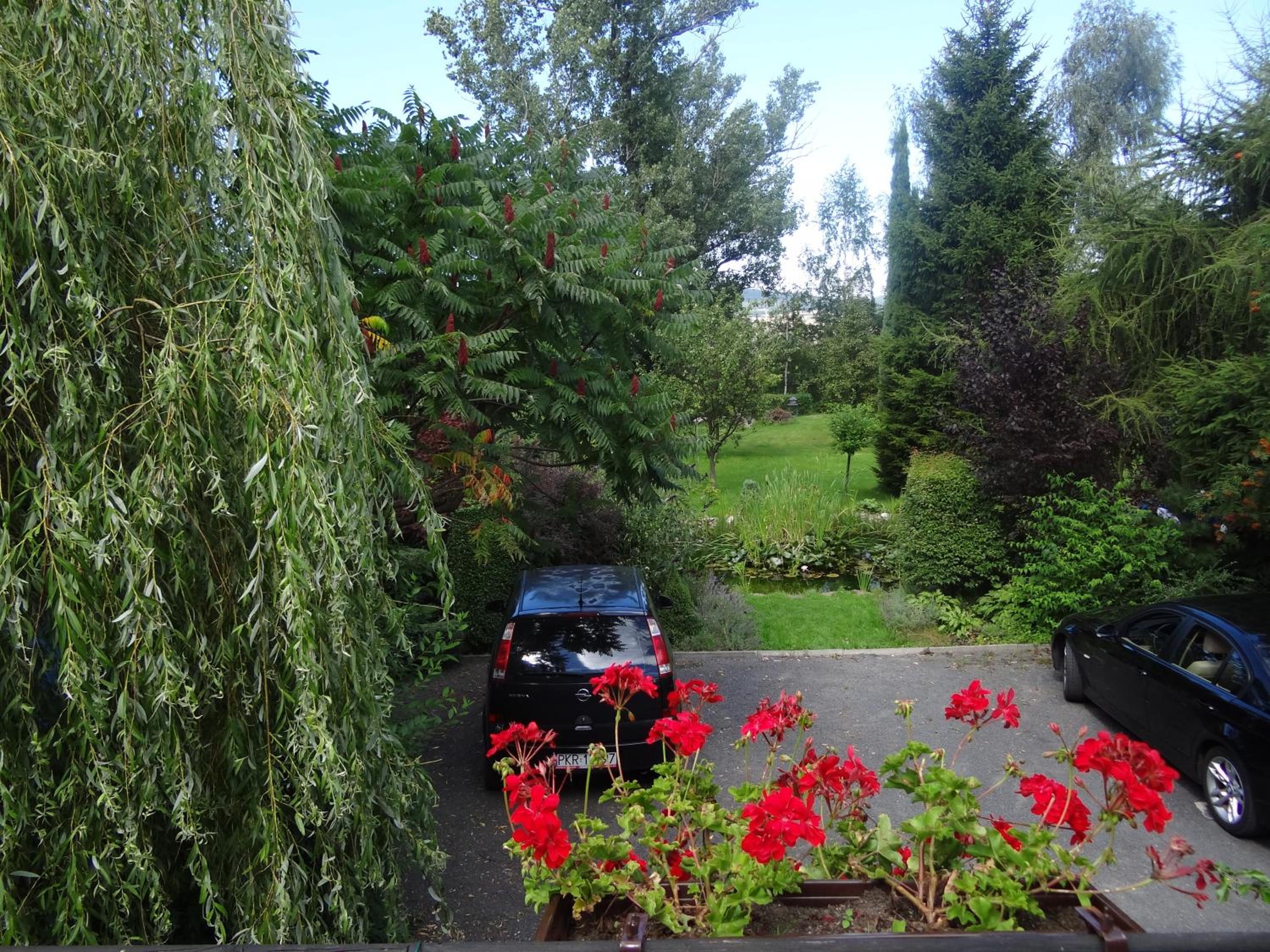 Photo 40