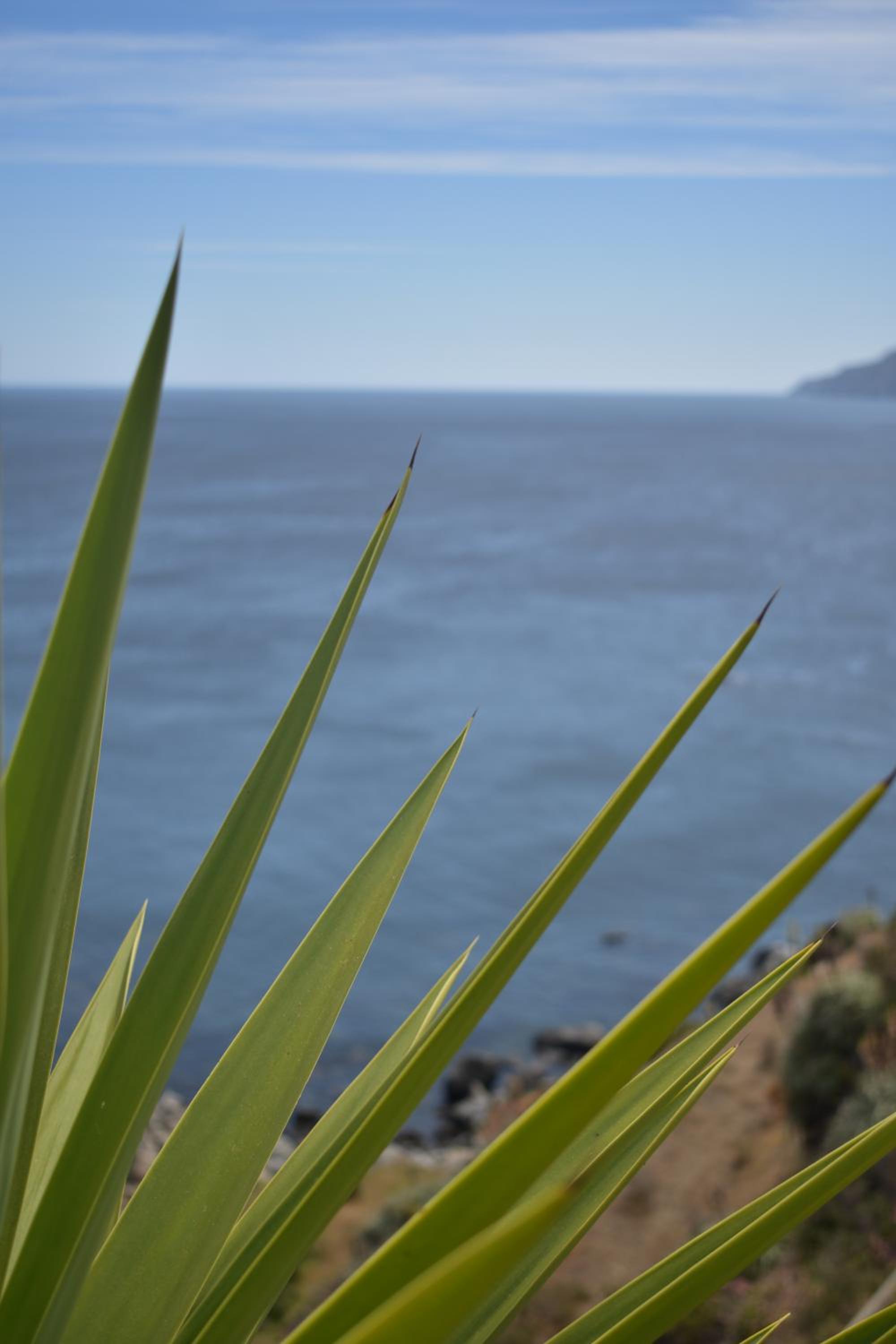 Cabañas & SPA Carilafquen