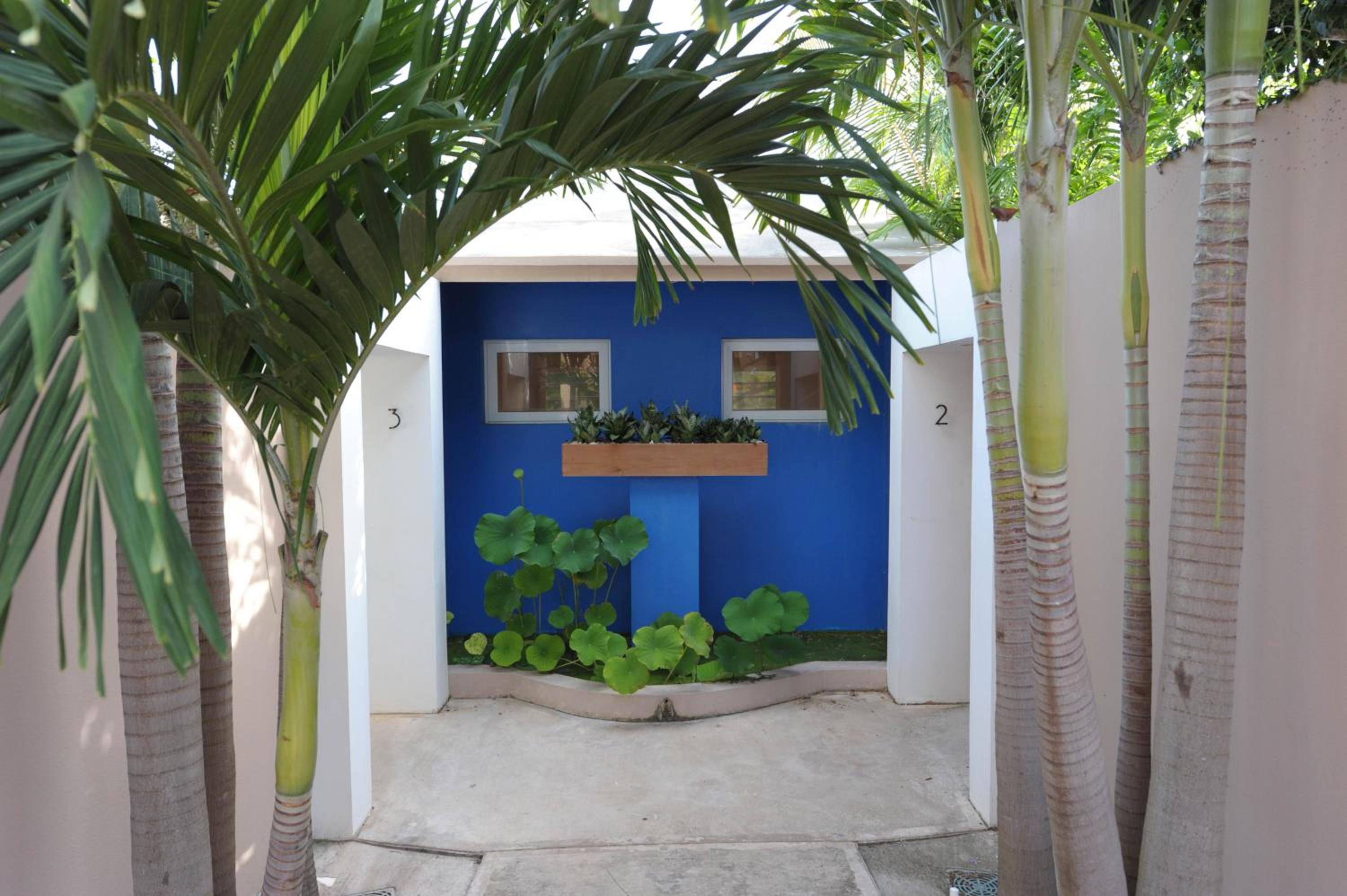 4 Casitas