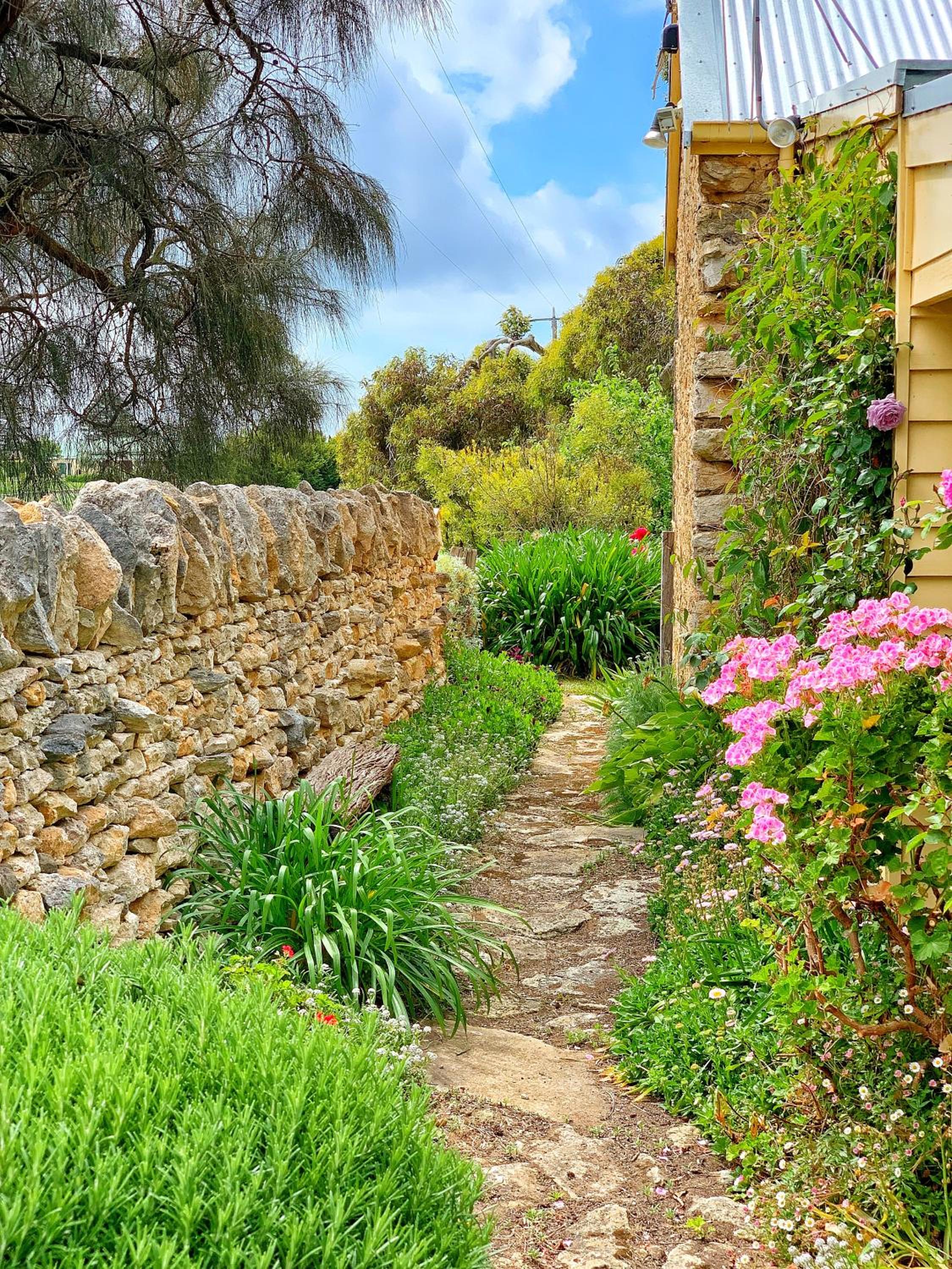 Cherry Plum Cottages