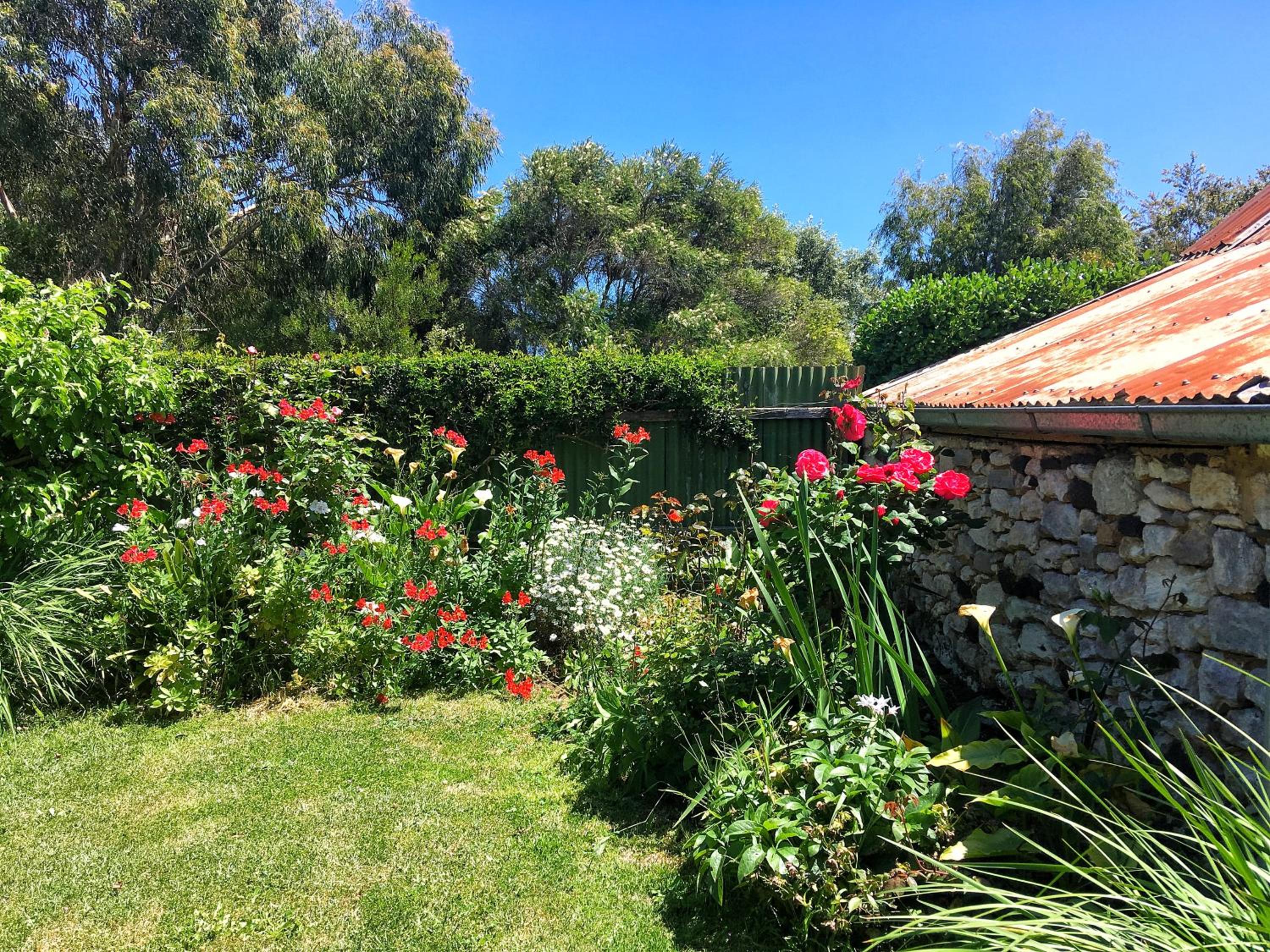 Cherry Plum Cottages