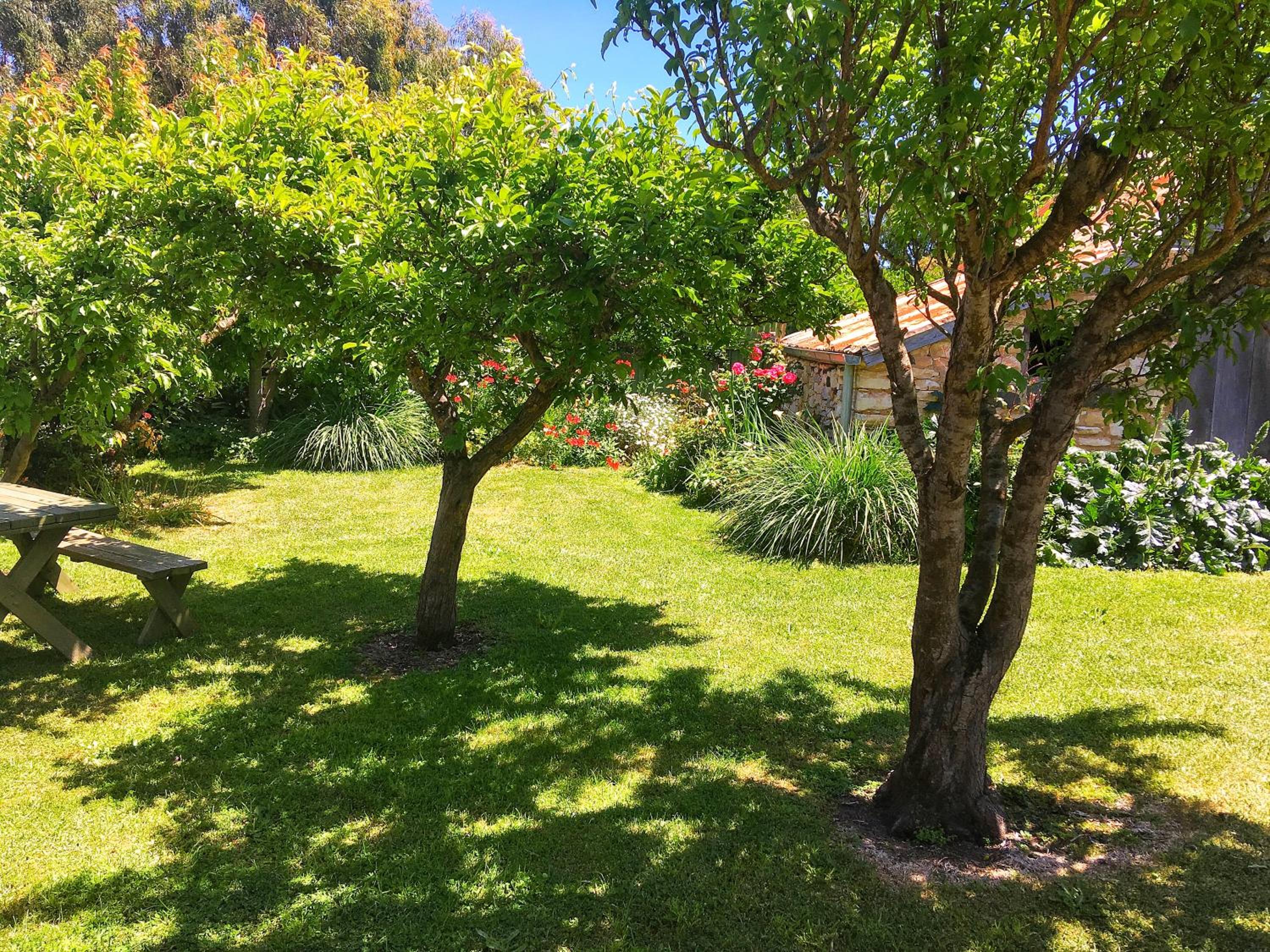 Cherry Plum Cottages