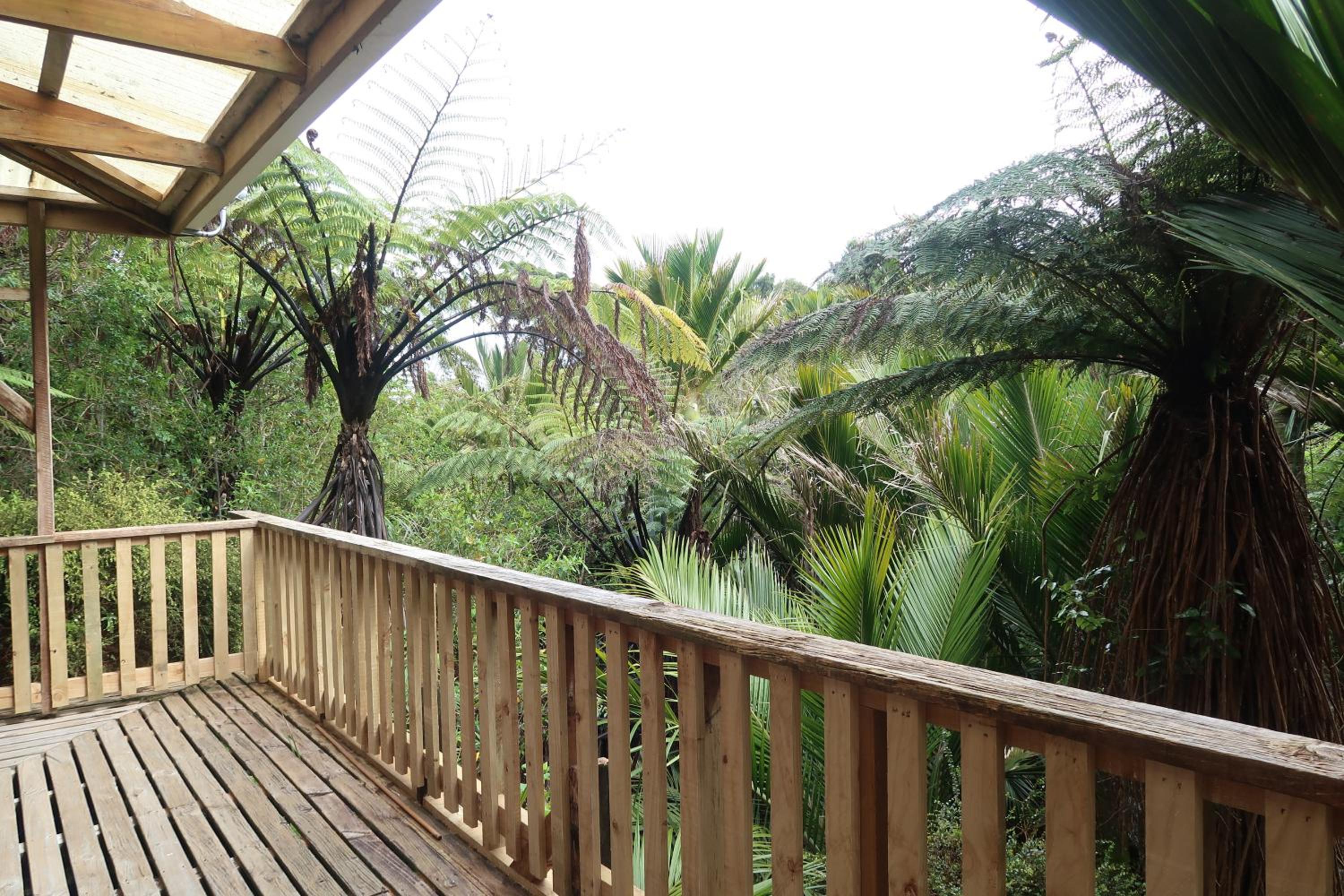 Te Nikau Retreat