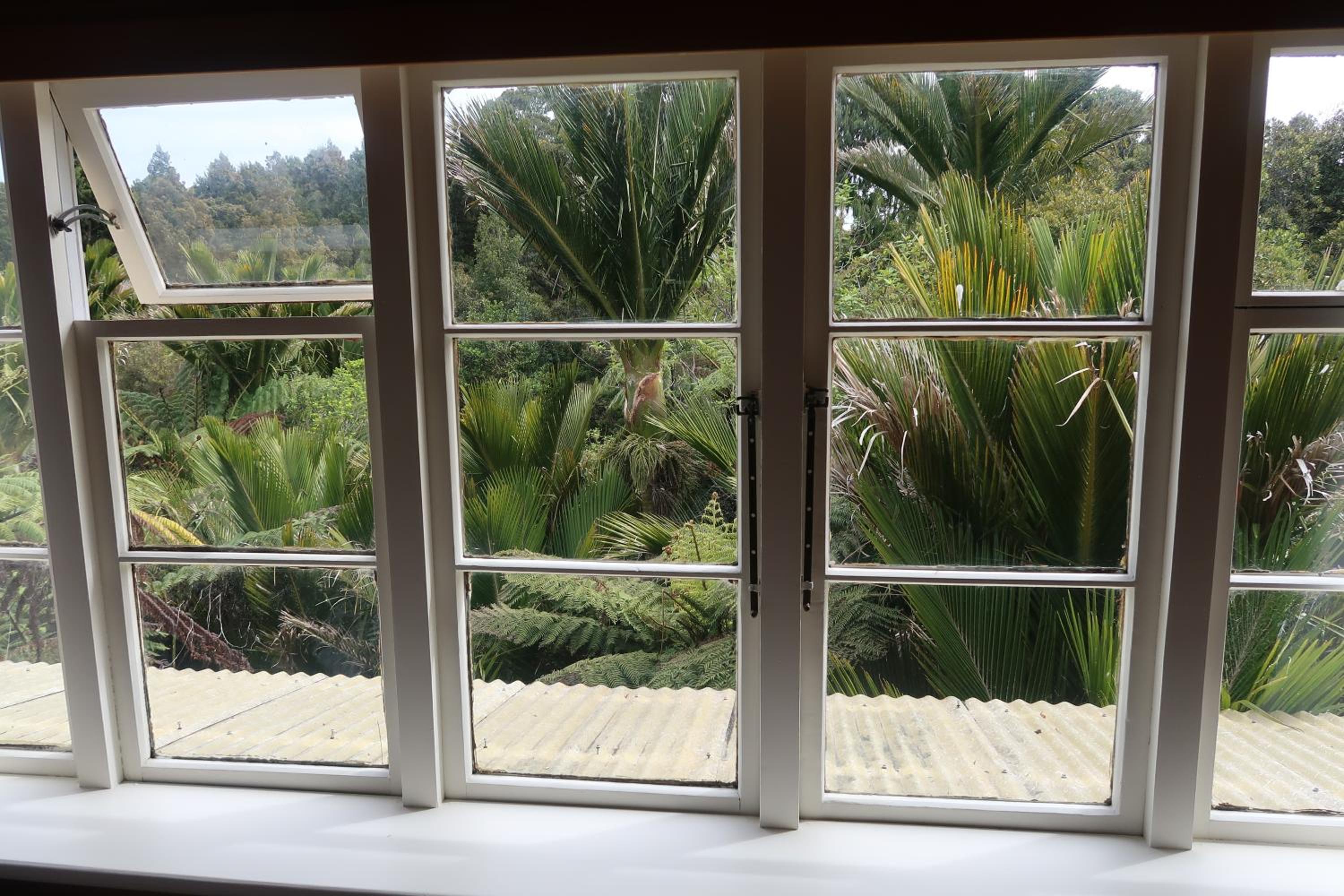 Te Nikau Retreat
