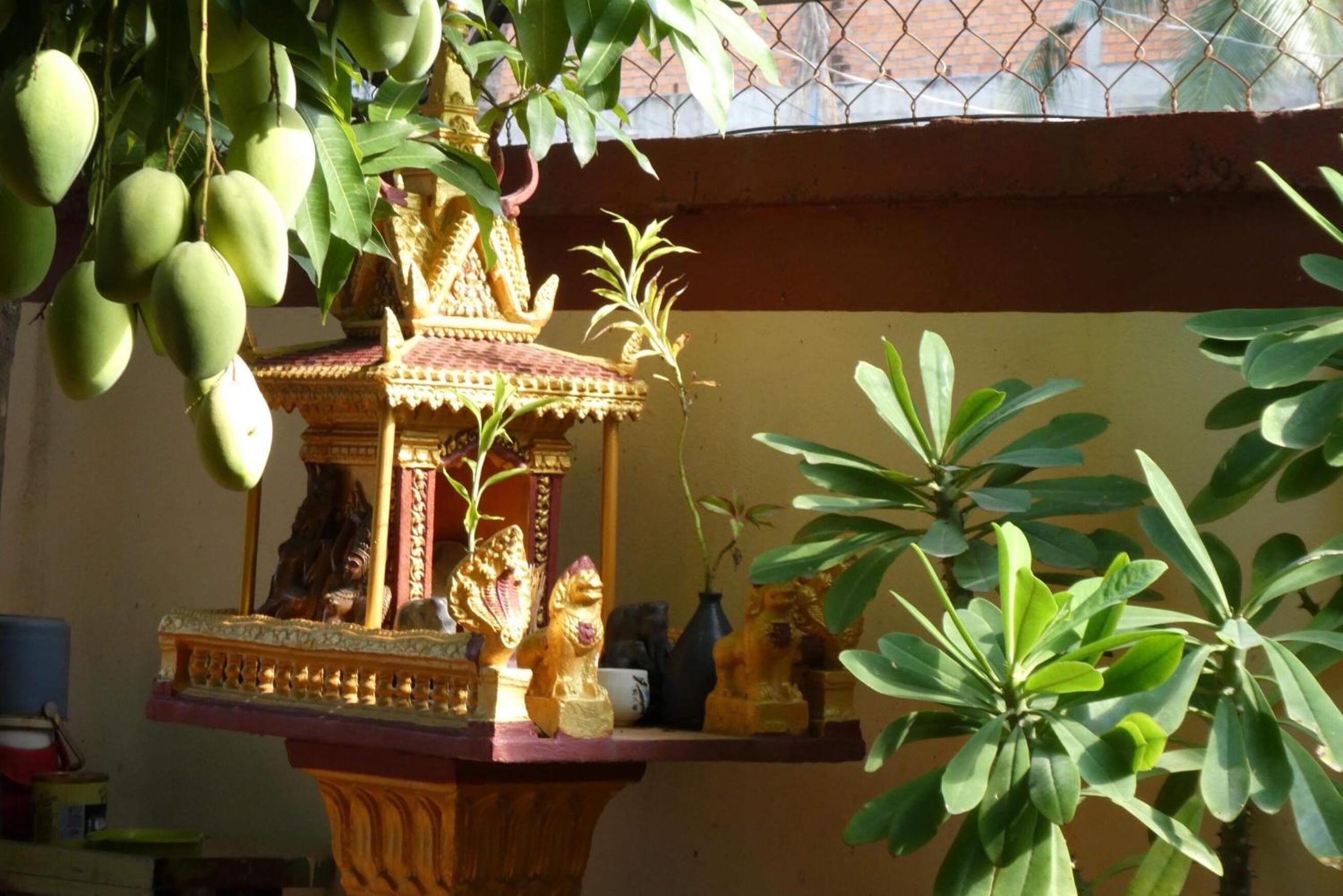 Photo 13