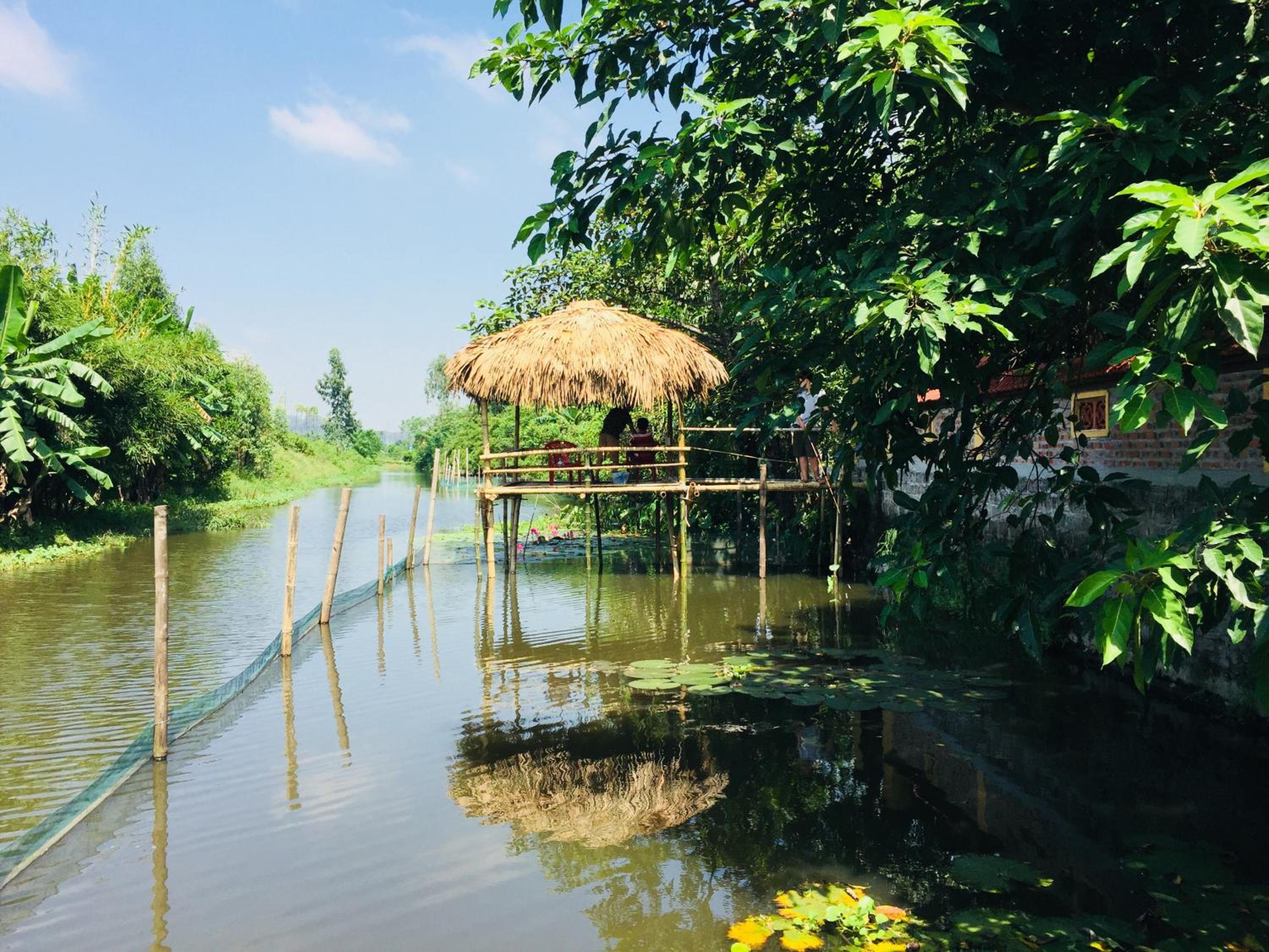 Hoang Giang Homestay