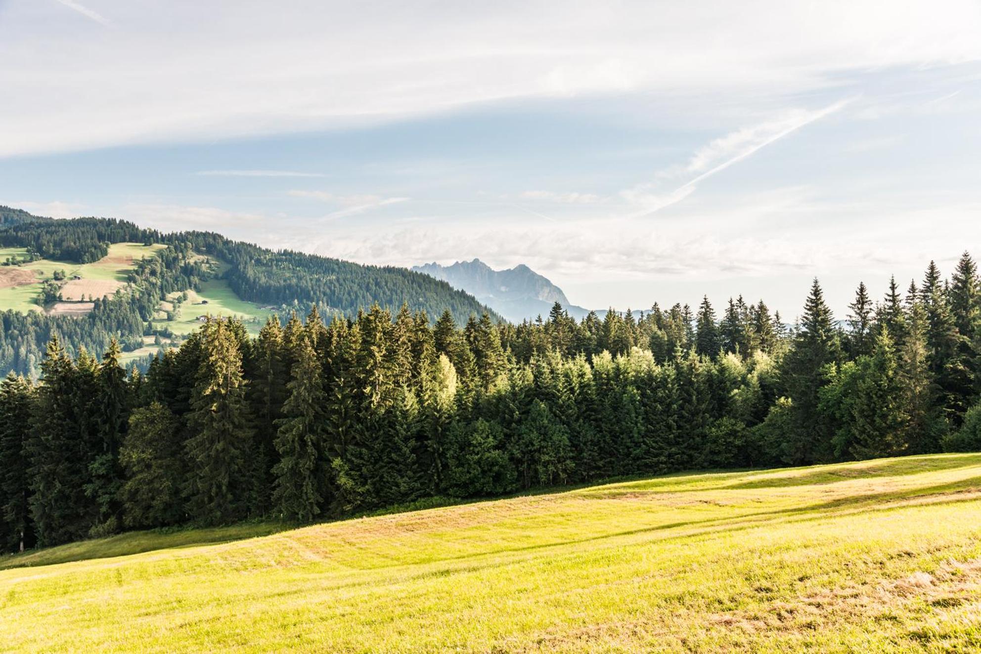 Berggasthof Staudachstub'n