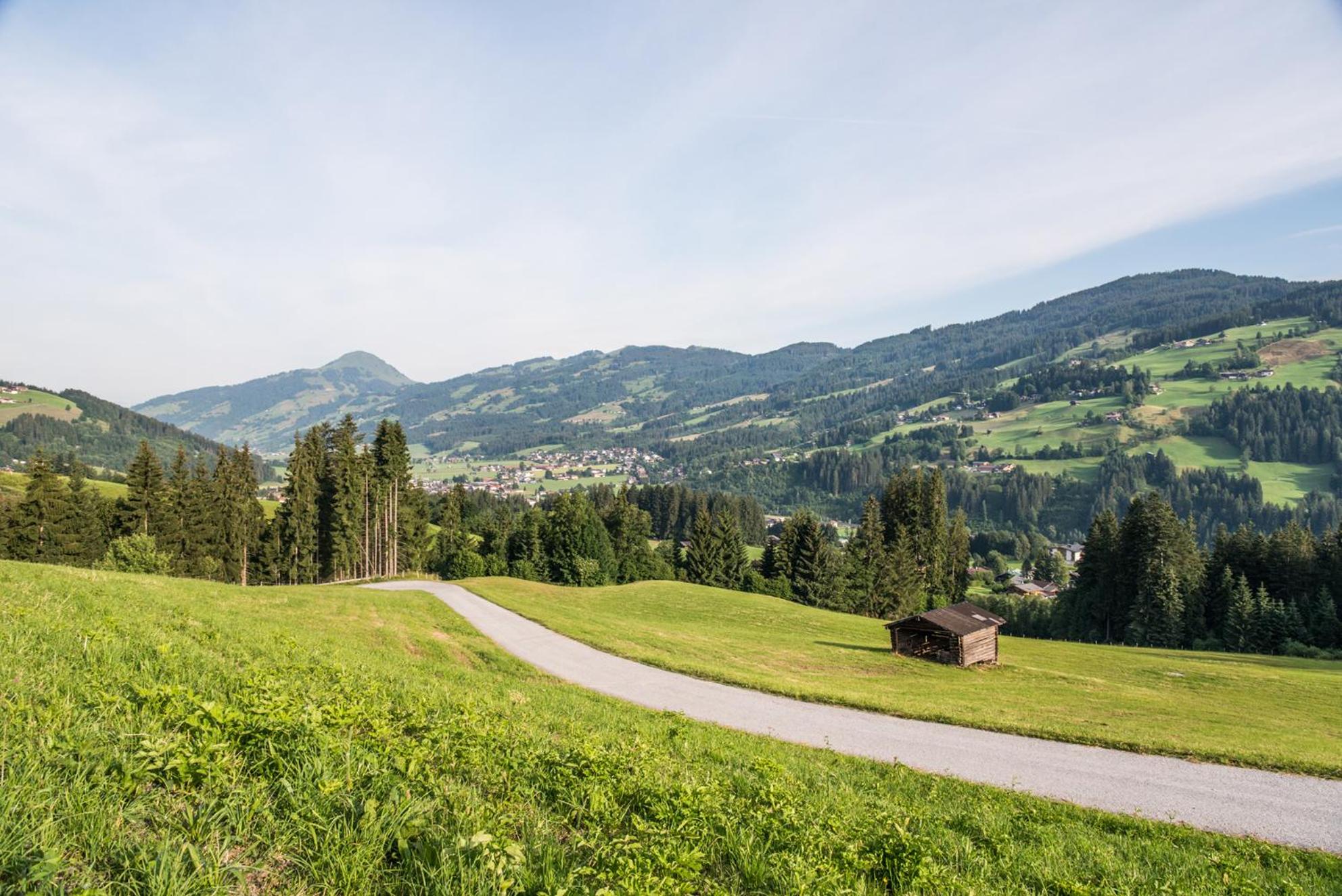 Berggasthof Staudachstub'n