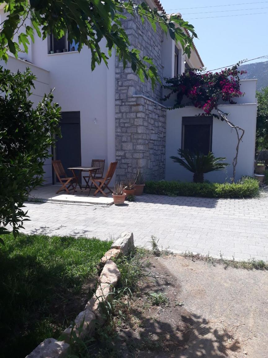 Photo 20