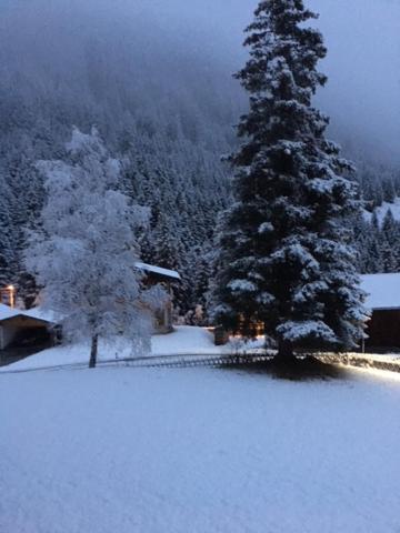 Pension Alpenrose