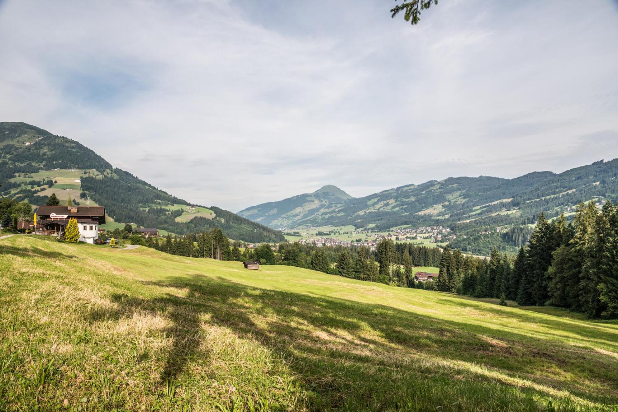 Berggasthof Staudachstub'n
