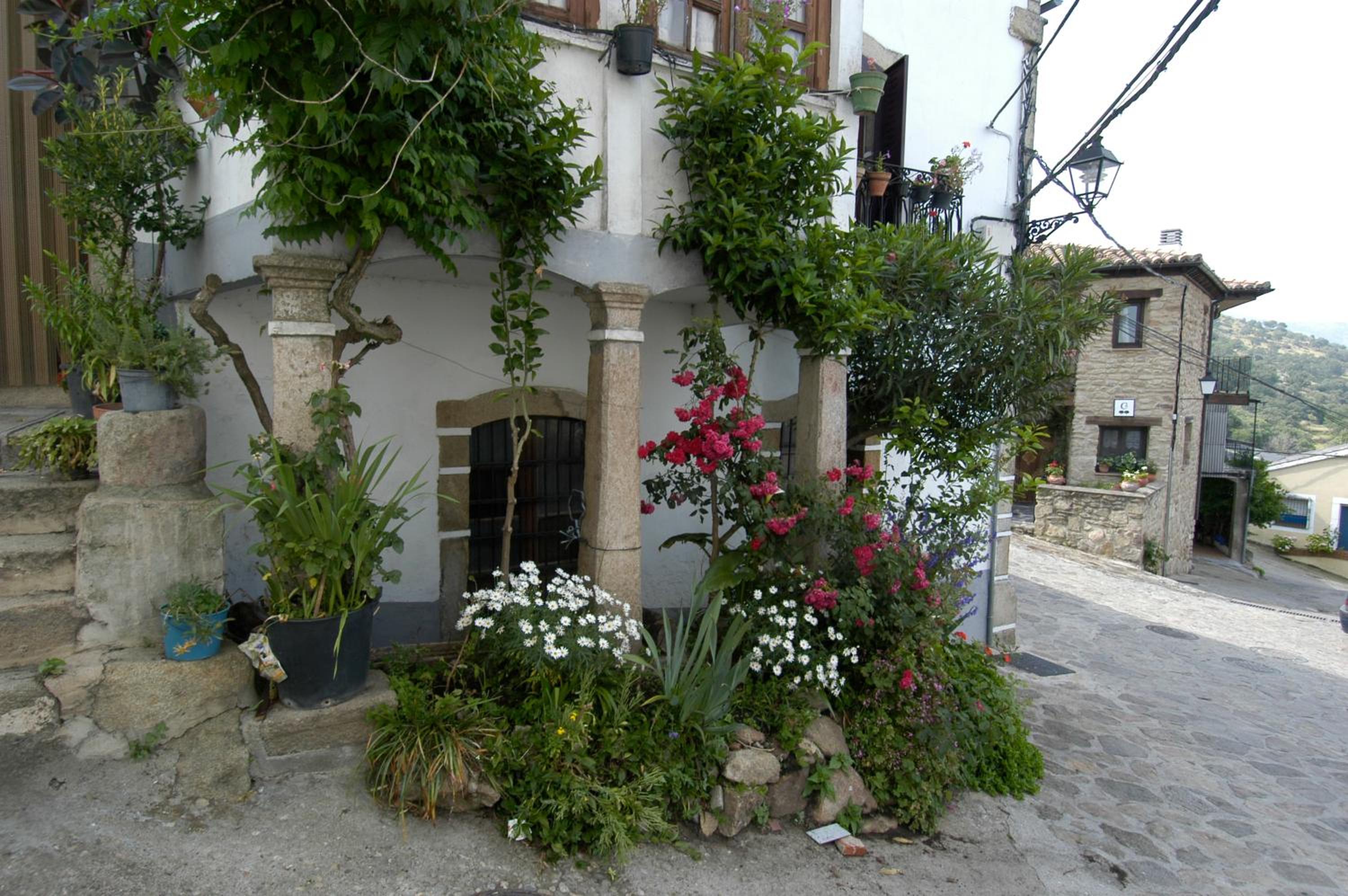Ciudad de Verdeoliva