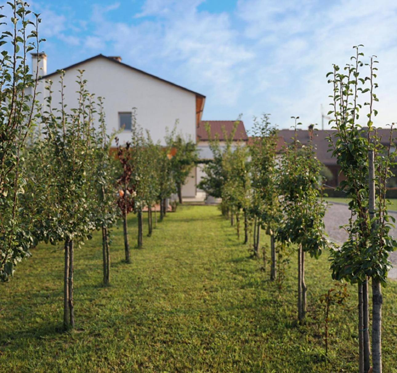 Agriturismo Corte Foscara view 3