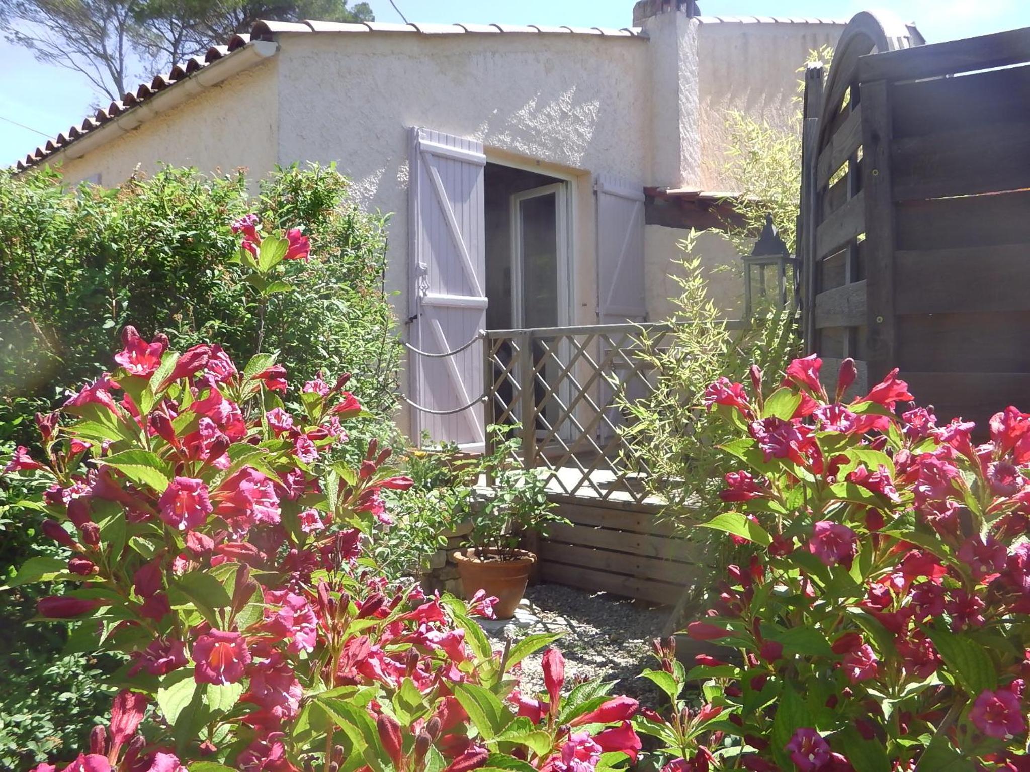Photo 17