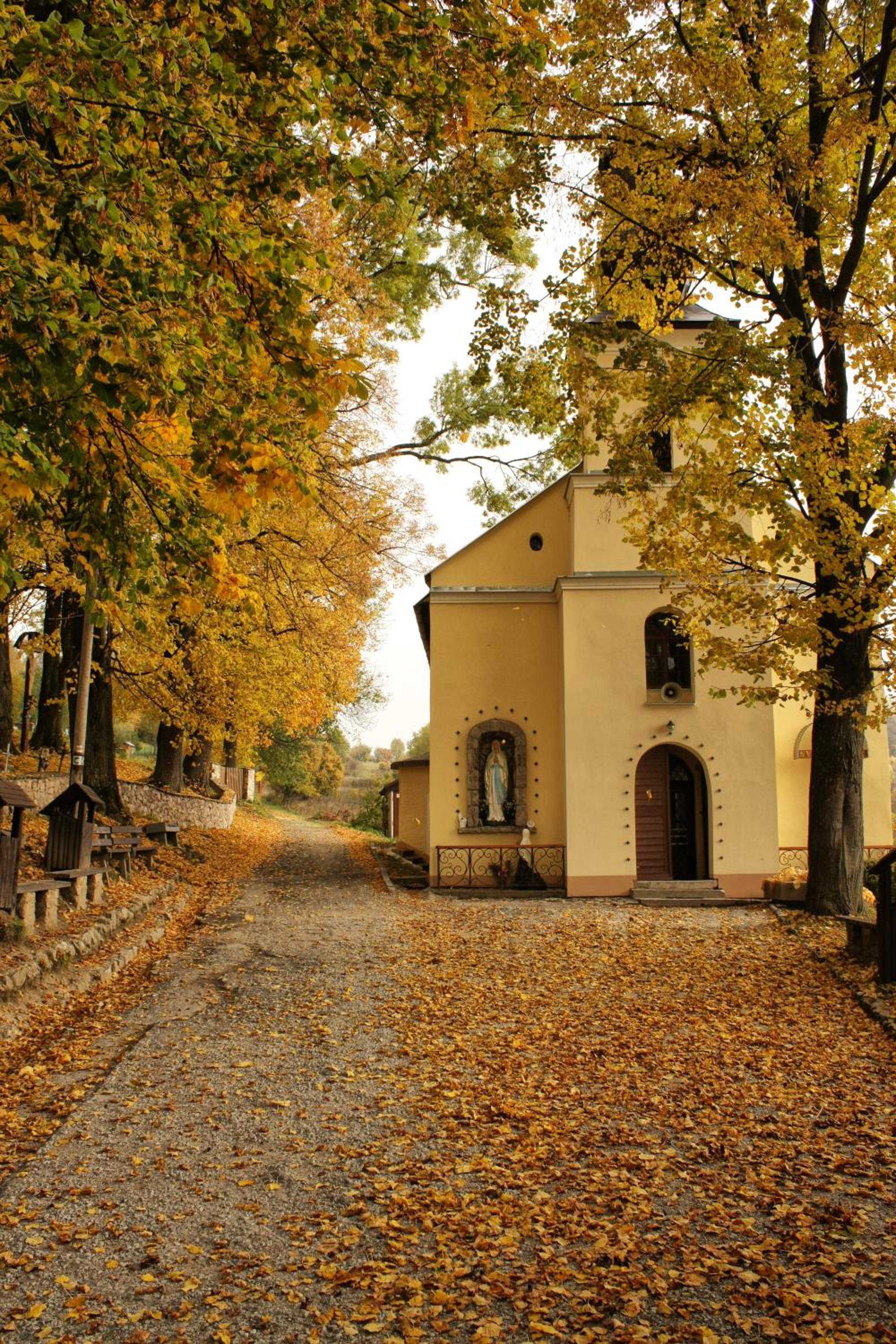 Photo 29