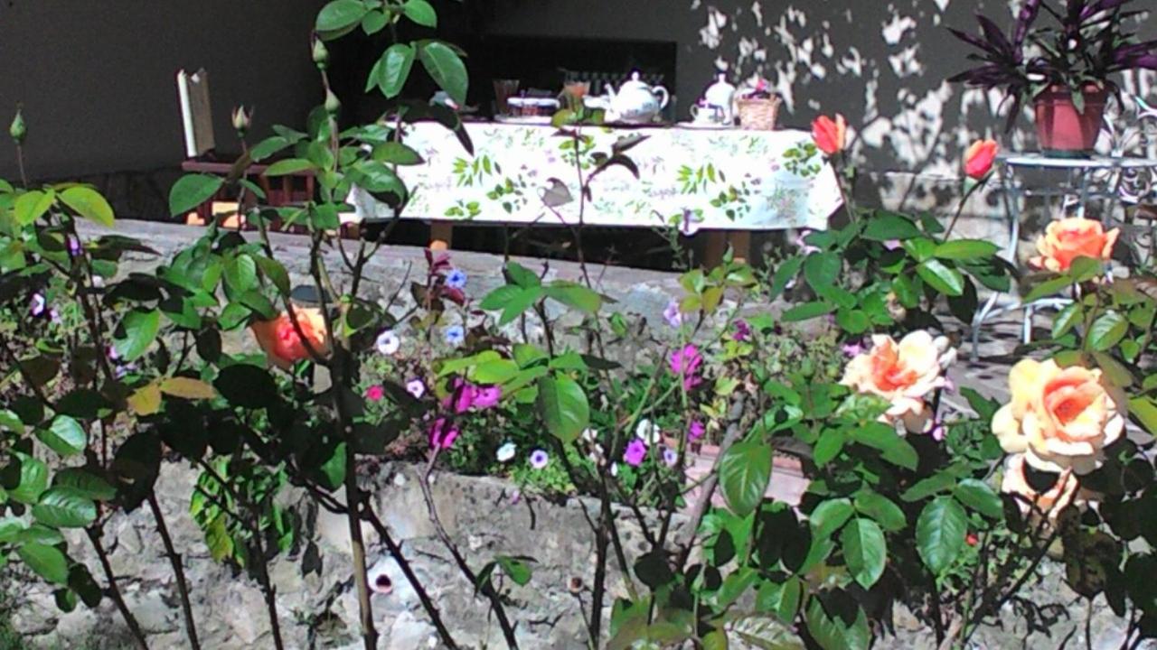 Photo 8