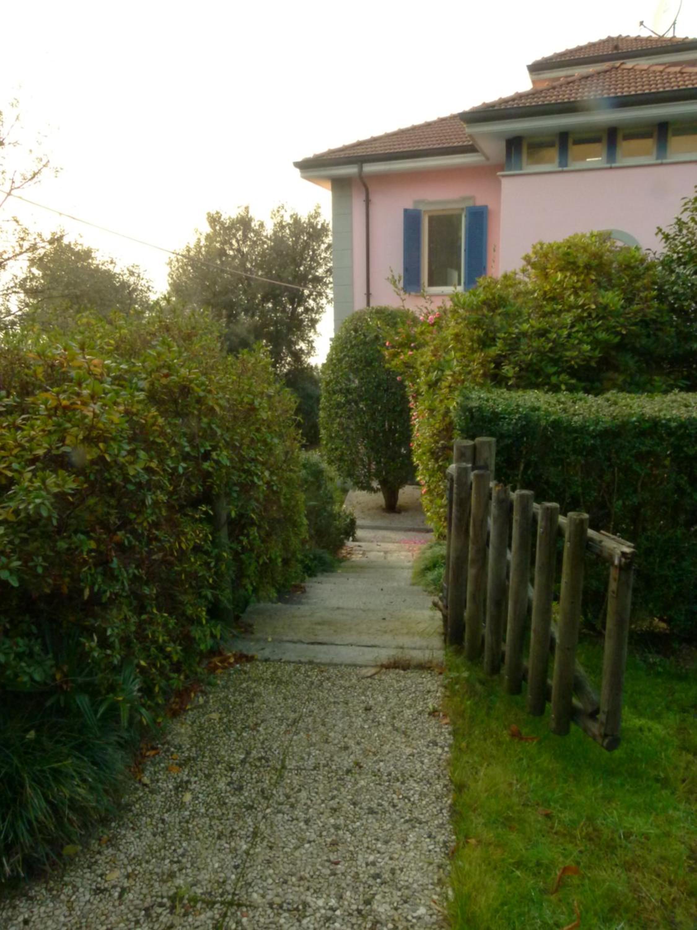 Photo 53