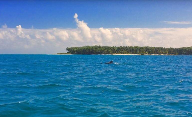 Dolphin Bay Hideaway