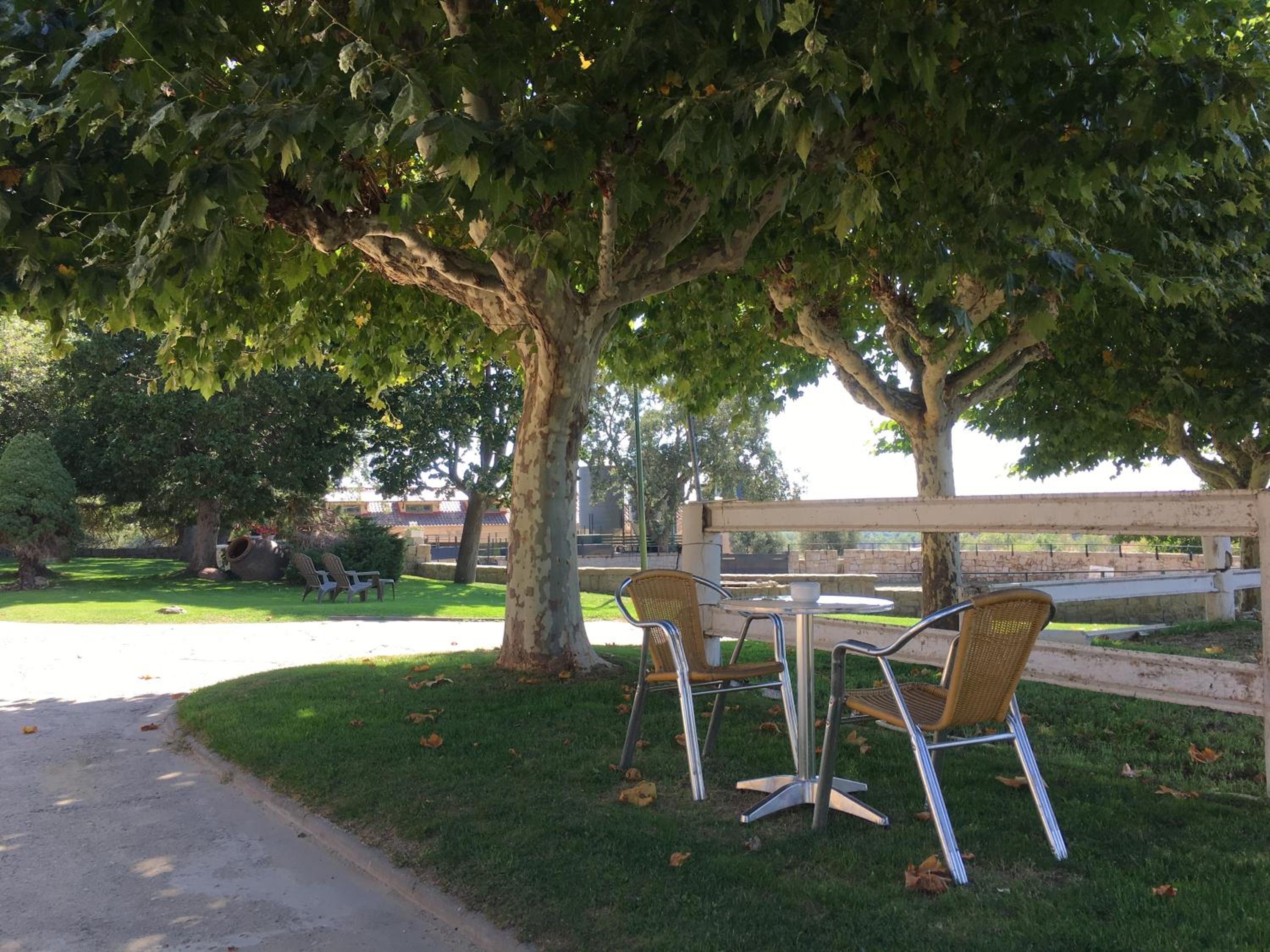 Photo 21