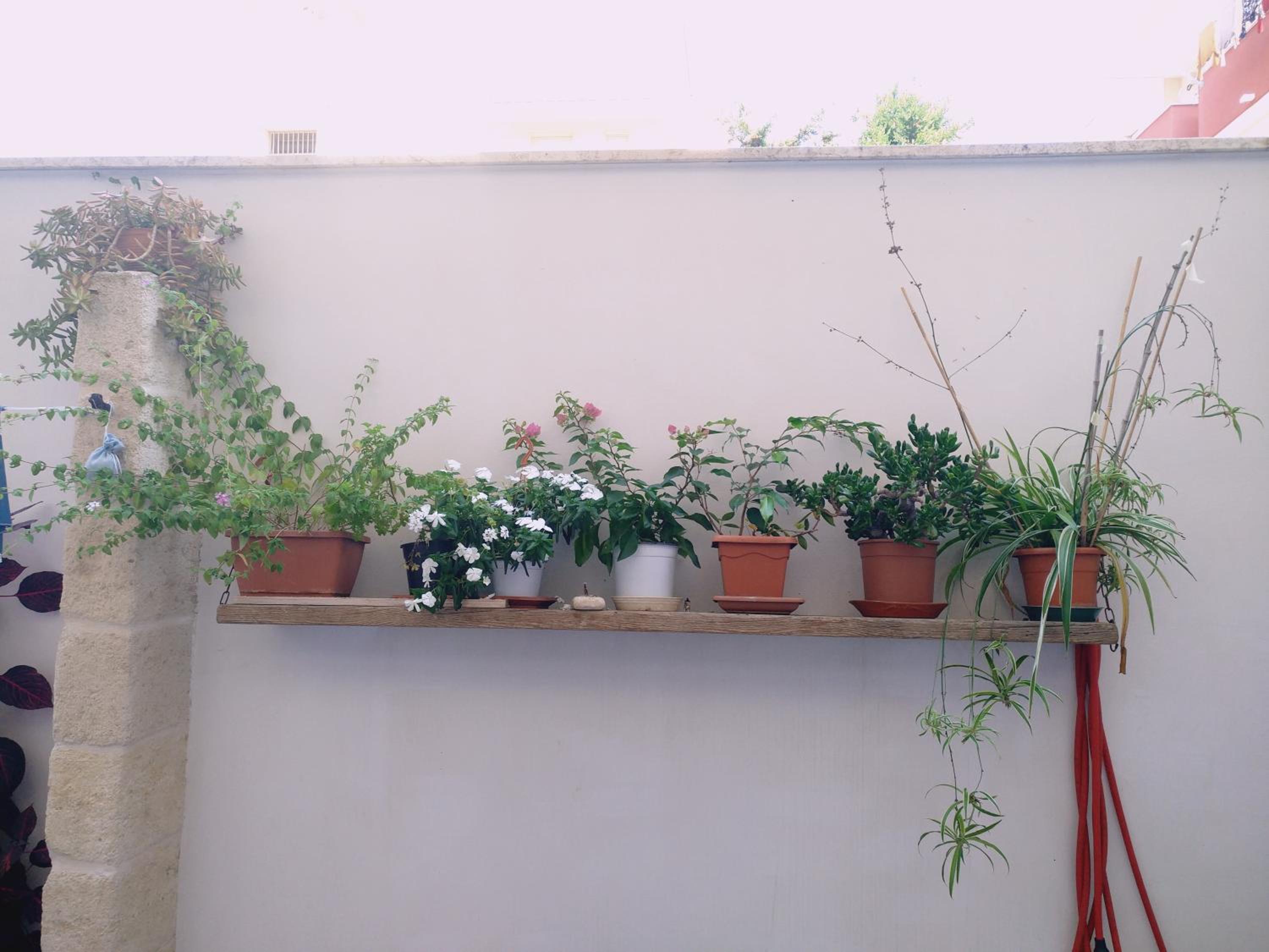 Photo 33