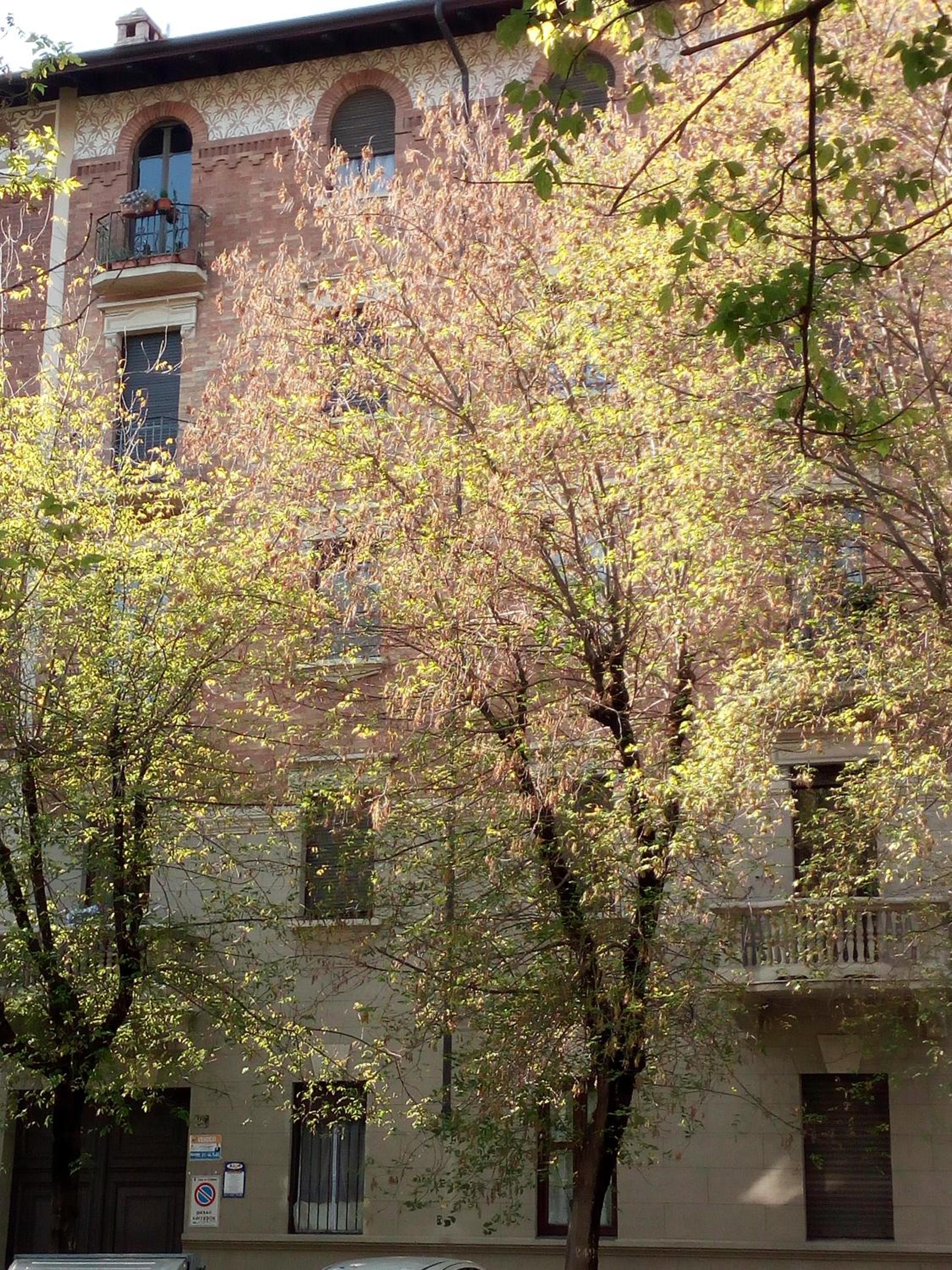 Appartamento Magnolia photo 4