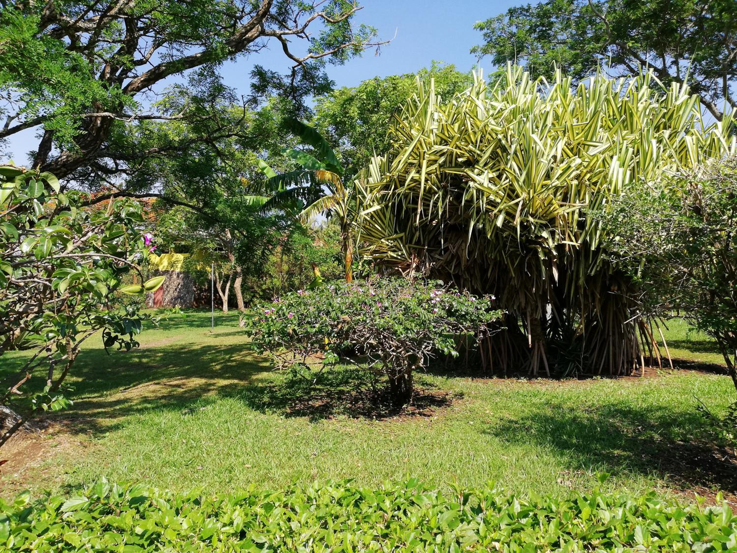 Hotel Rincón de la Vieja Lodge