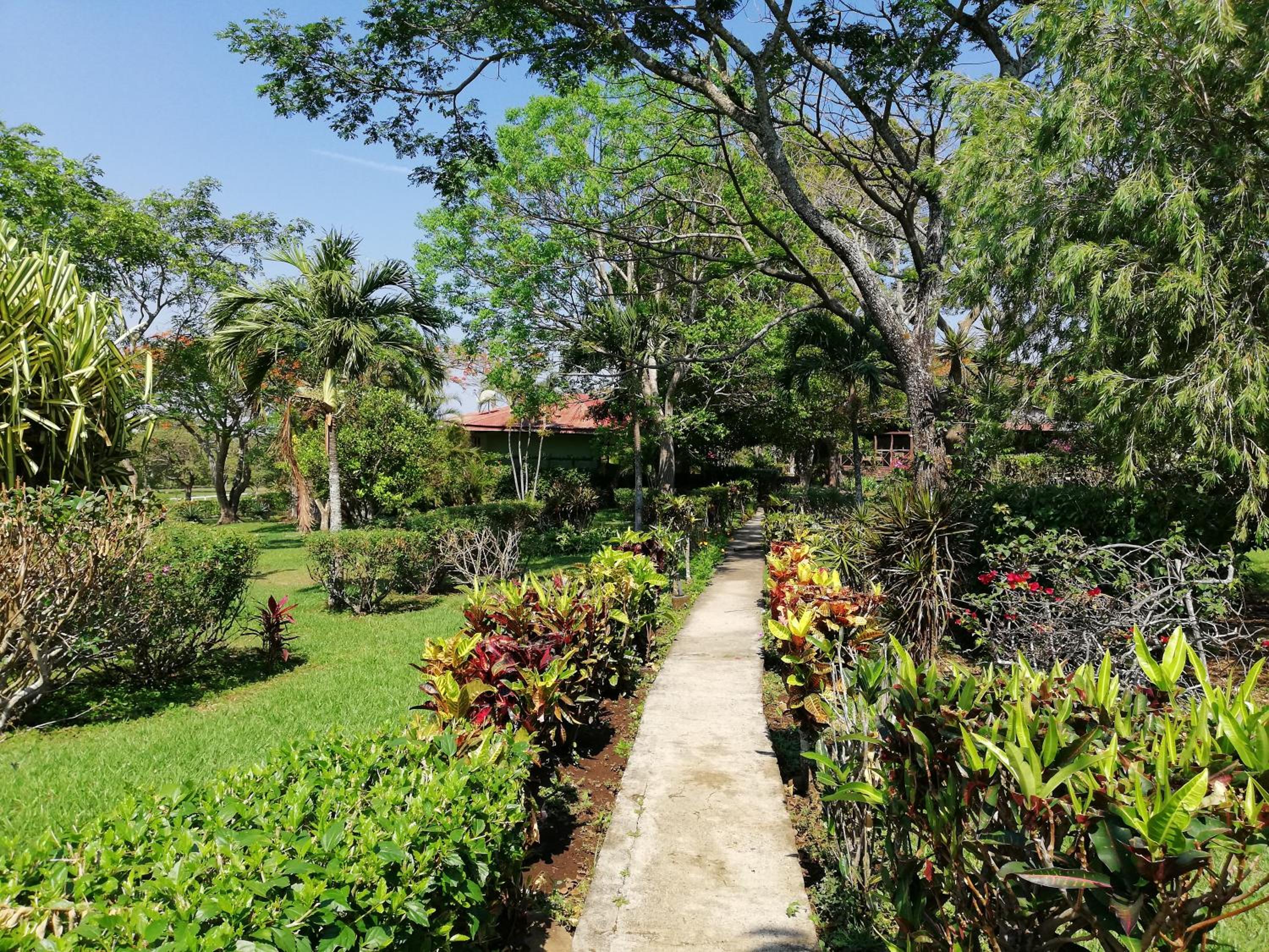 Hotel Rincón de la Vieja Lodge