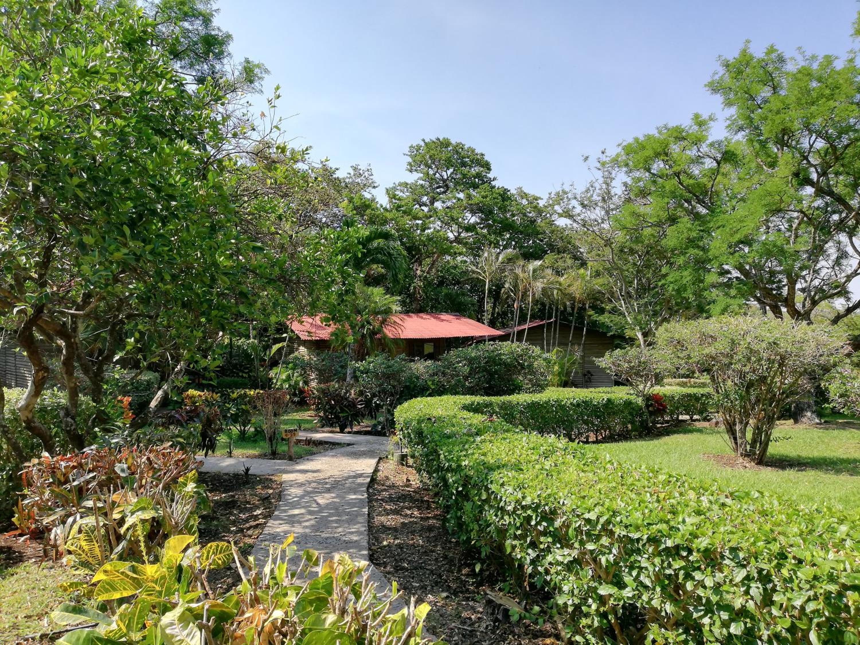 Hotel Rincón de la Vieja Lodge
