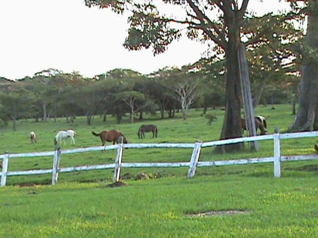 Hotel Rincón de la Vieja Lodge